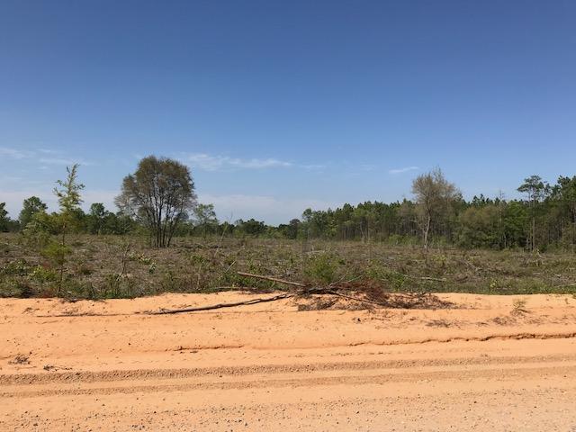 7 acres, High & Dry. Cleared and ready for your new home. Room for horses and a garden. Survey available at purchase. Vernon Elementary, Vernon Middle, Vernon High, schools.