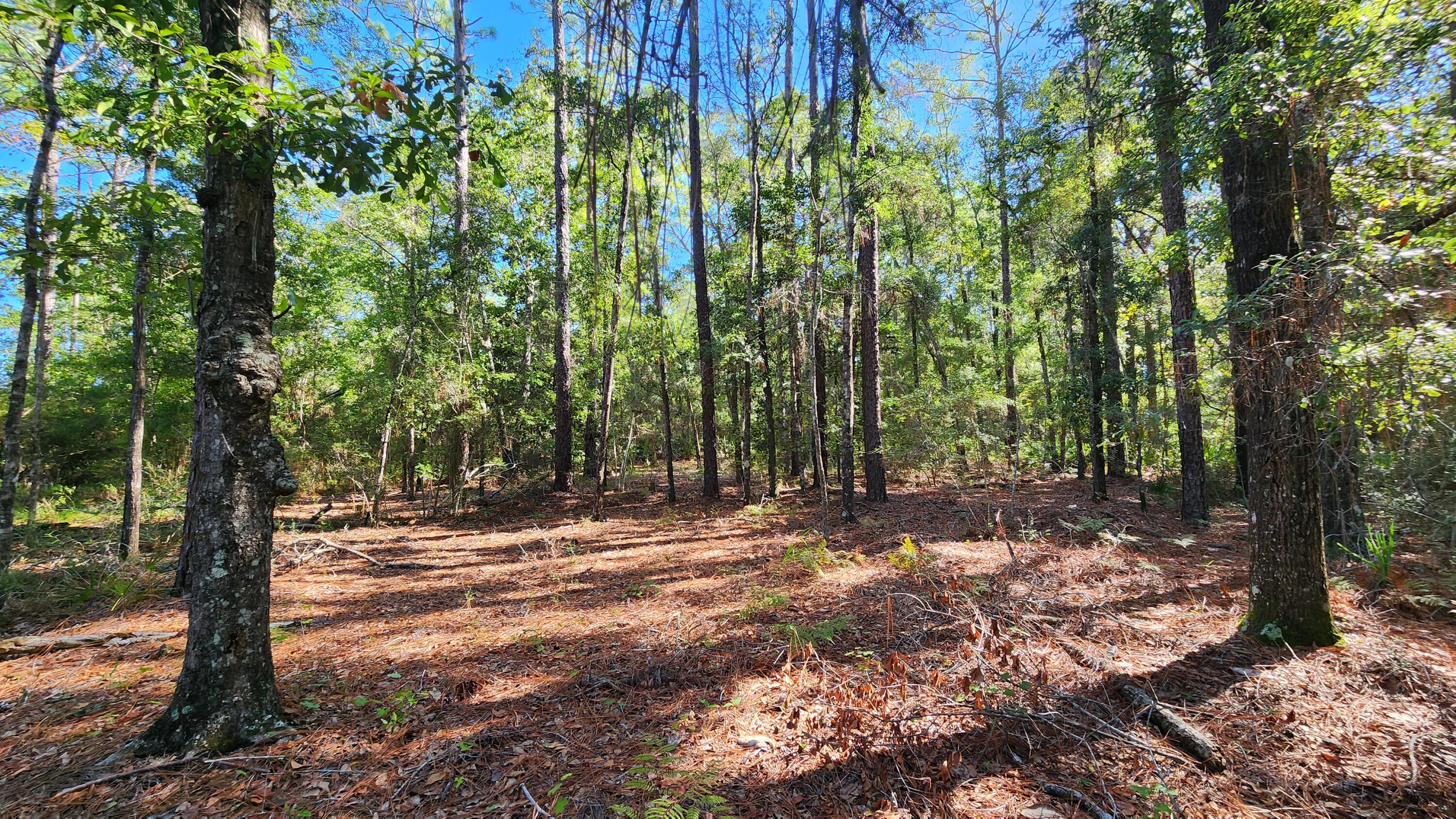 METES & BOUNDS - Land