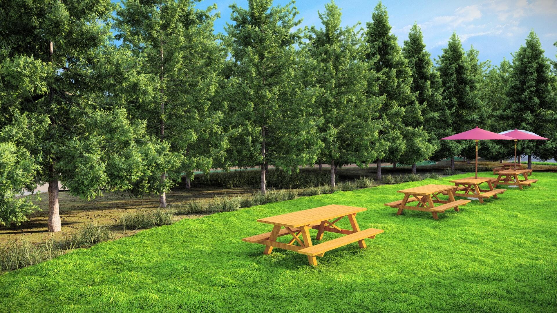 METES & BOUNDS - Land