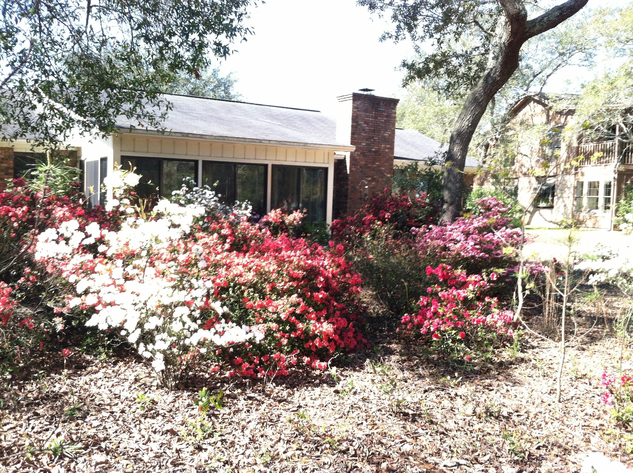 COLONY ESTATES 2ND ADDN - Residential