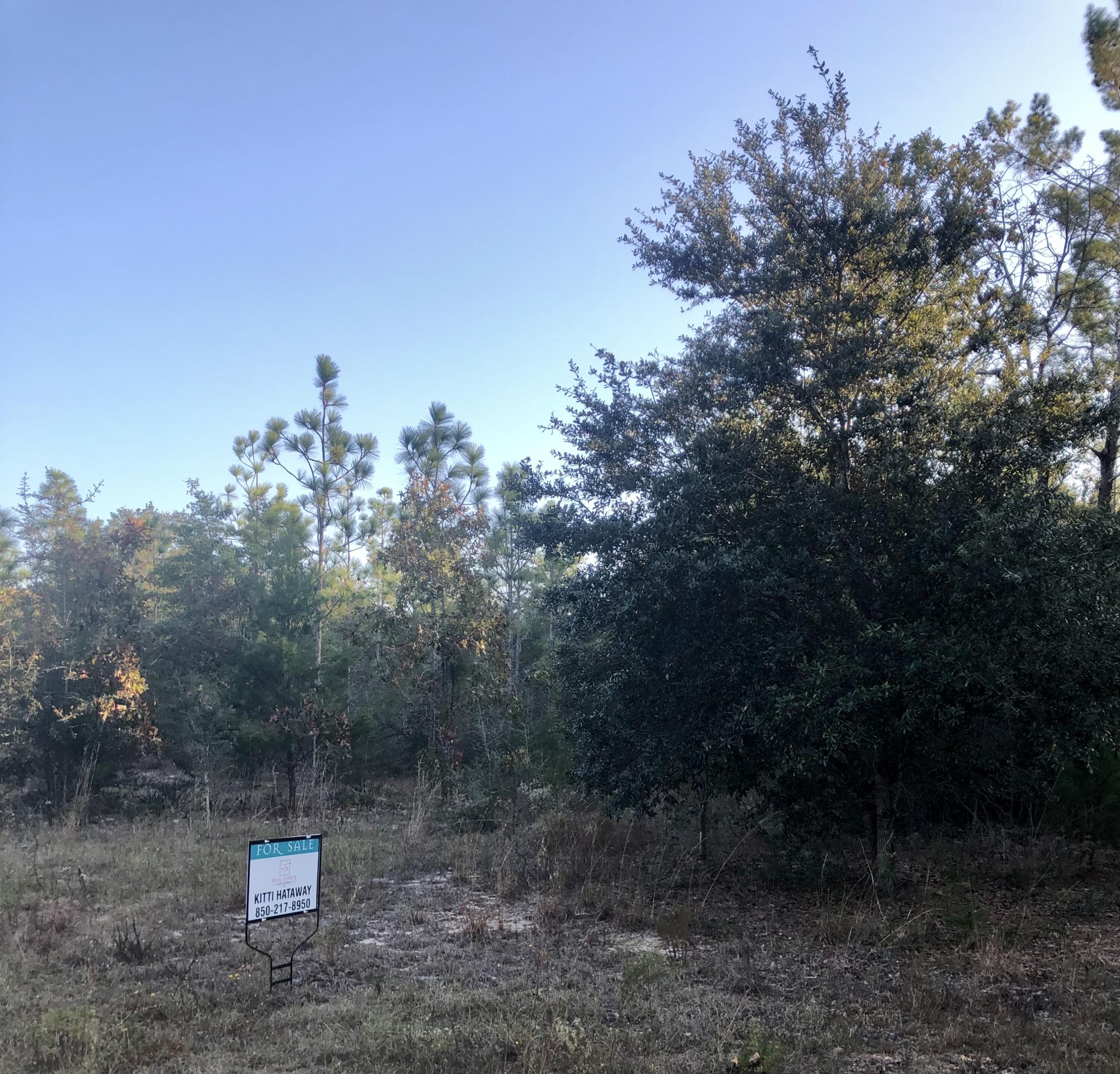 Beautiful wooded Lot just under 1 acre in a prime location! You can have that 'living in the country' feel but convenient to I-10, Hwy 285, Crestview or Defuniak Springs. Come see this Lot, right off Hwy. 90, in a cul-de-sac and just waiting for your new home!