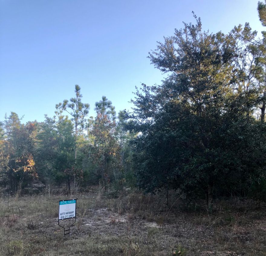 Beautiful wooded Lot just under 1 acre in a prime location! You can have that 'living in the country' feel but convenient to I-10, Hwy 285, Crestview or Defuniak Springs. Come see this Lot, right off Hwy. 90, in a cul-de-sac and just waiting for your new home!