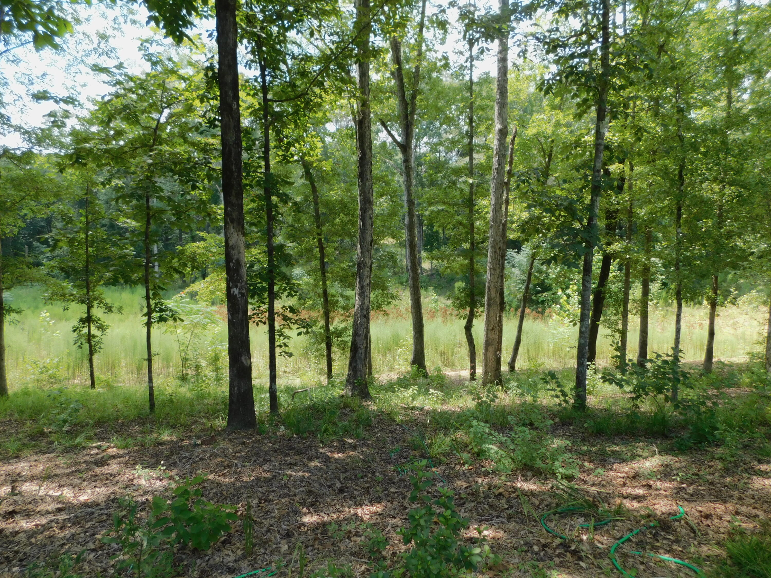 Amberwoods - Residential