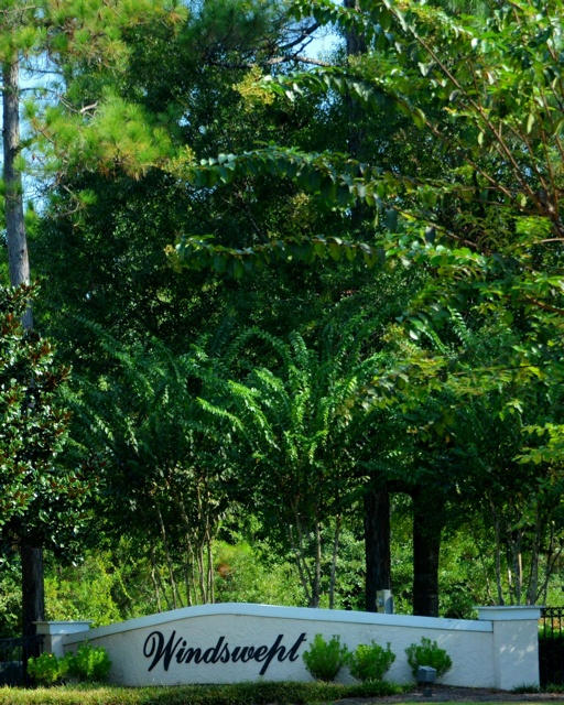 WINDSWEPT ESTATES - Land