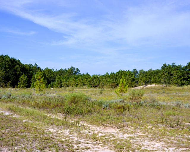 WINDSWEPT ESTATES - Land