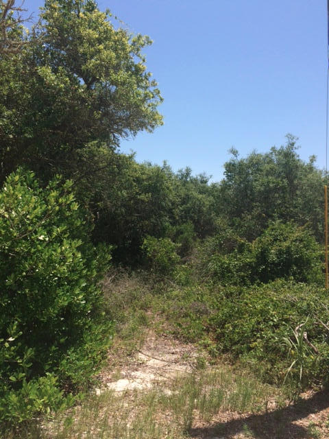 Claim your lot capable of gulf views in ideal Seagrove Beach location in Gulf Shore Manor. No HOA fees or build out times. Build at your leisure. Close beach access south of 30A at Dothan St.+ additional accesses within a half mile; including Bramble Grove with ample parking, handicapped access, showers & restrooms. Seaside and Publix are within 1.5 miles for shopping, dining and entertainment. Located just off the bike path, what better central 30A spot for beach lovers to explore all the area offers. Vacation home, rental property or permanent residence - it's up to you! ***Buyer is responsible for personally verifying details about this property. All information contained on the listing is believed to be accurate but not guaranteed. ***