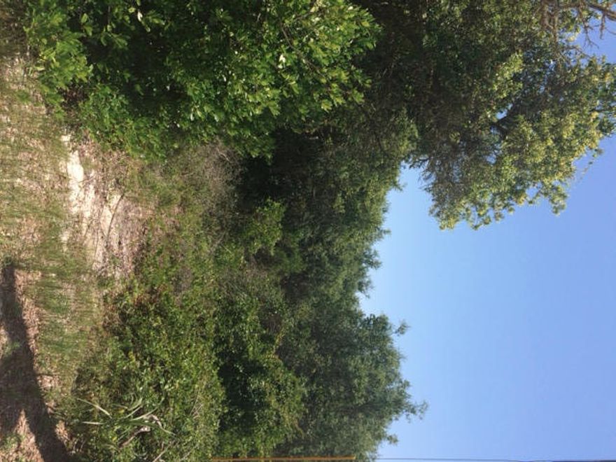 Claim your lot capable of gulf views in ideal Seagrove Beach location in Gulf Shore Manor. No HOA fees or build out times. Build at your leisure. Close beach access south of 30A at Dothan St.+ additional accesses within a half mile; including Bramble Grove with ample parking, handicapped access, showers & restrooms. Seaside and Publix are within 1.5 miles for shopping, dining and entertainment. Located just off the bike path, what better central 30A spot for beach lovers to explore all the area offers. Vacation home, rental property or permanent residence - it's up to you! ***Buyer is responsible for personally verifying details about this property. All information contained on the listing is believed to be accurate but not guaranteed. ***