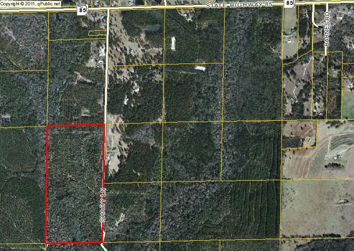 80 Acres of timberland. This is prime location to have for hunting. You could also clear some land and build your dream home and still have some privacy. This is also a prime location for developers to build new homesites. This land is priced to sell!! Lot dimensions are approximate. Buyer will need survey to confirm.
