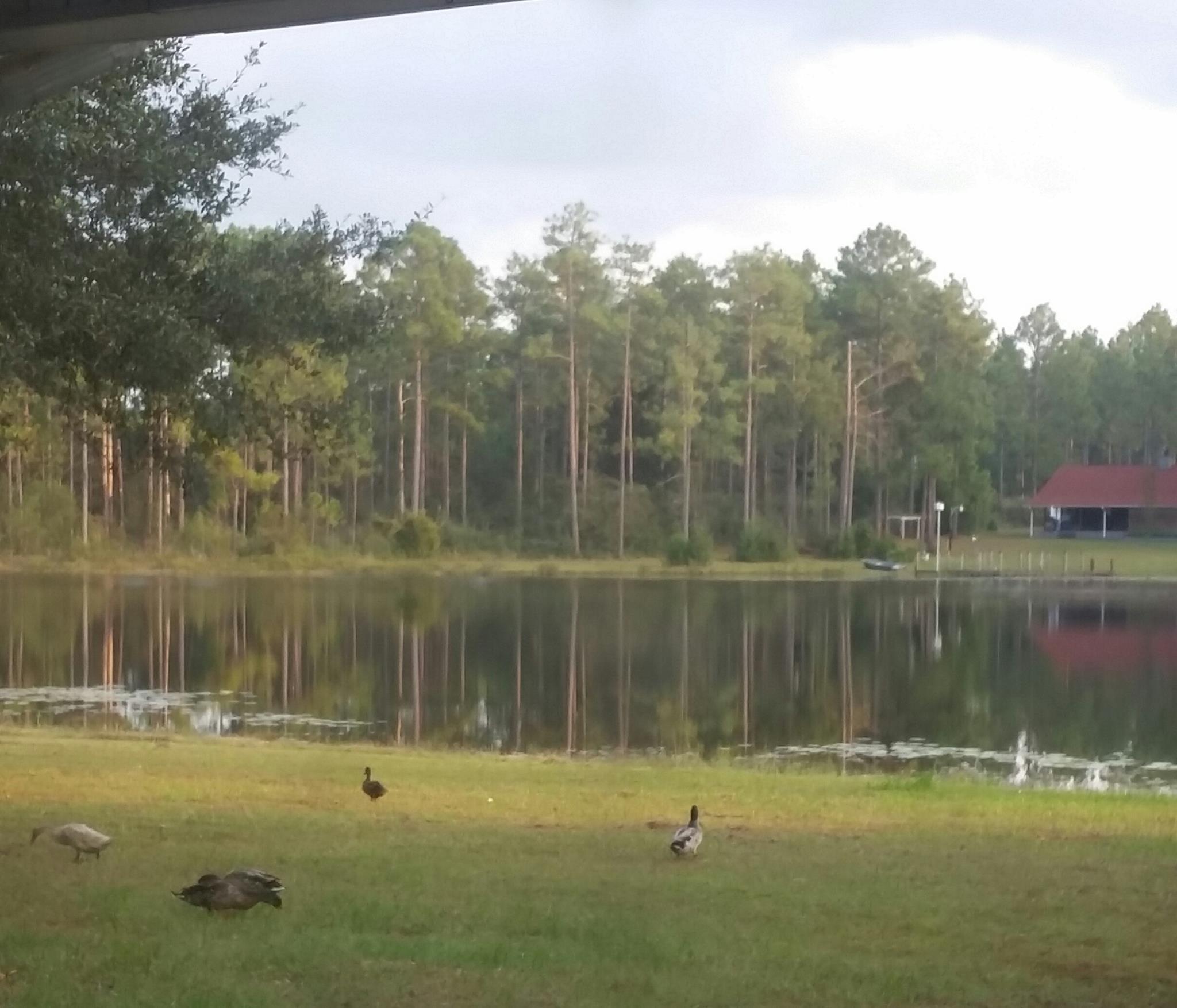 IMPERIAL LAKES 2 - Residential