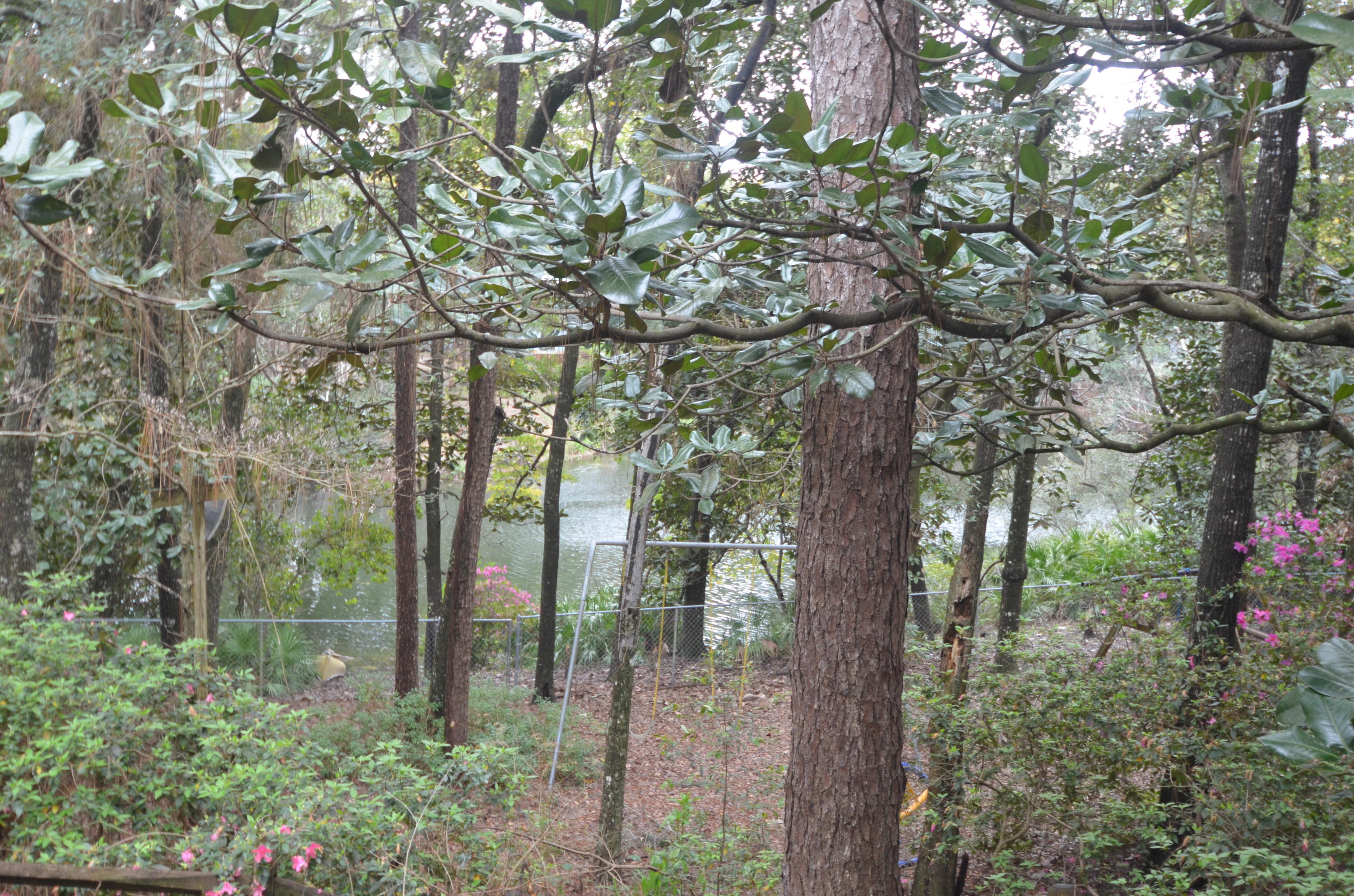 ROCKY BAYOU COUNTRY CLUB ESTATES - Residential