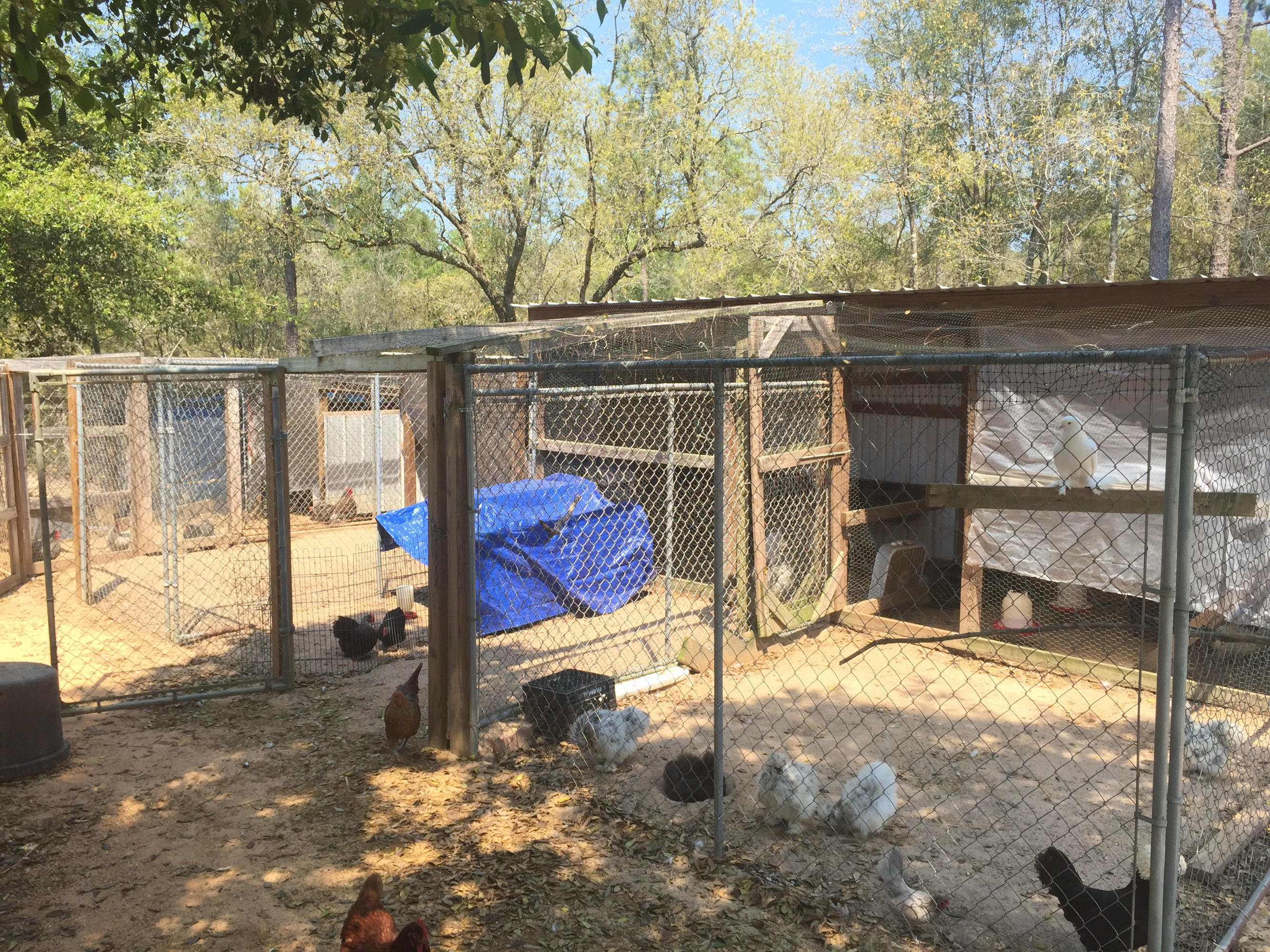 SHOAL RIVER UNREC - Residential