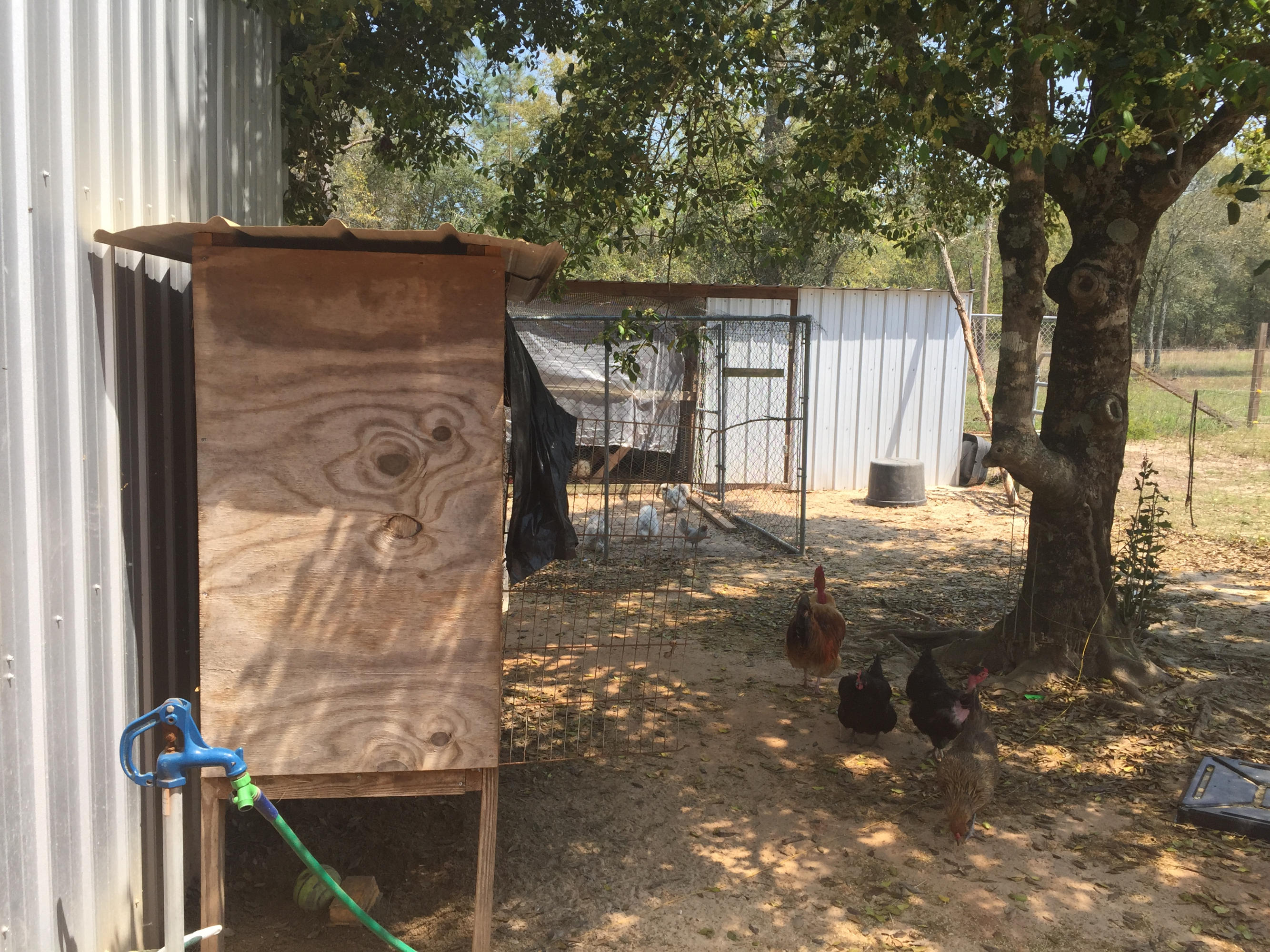 SHOAL RIVER UNREC - Residential