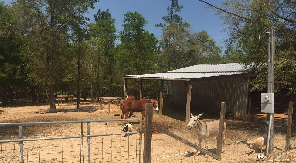 SHOAL RIVER UNREC - Residential
