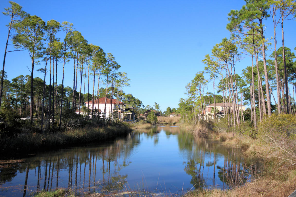 PALMETTO LAKE PRESERVE - Residential