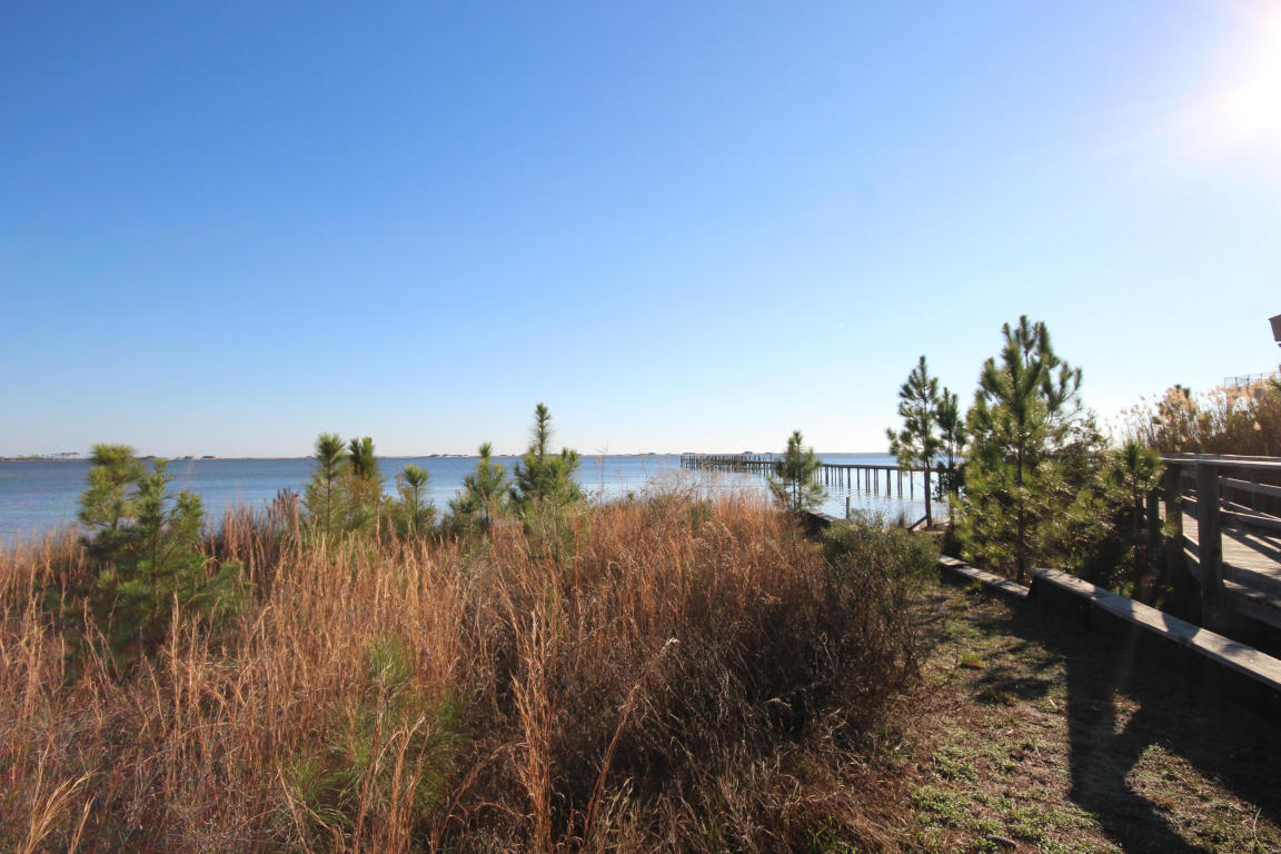 PALMETTO LAKE PRESERVE - Residential