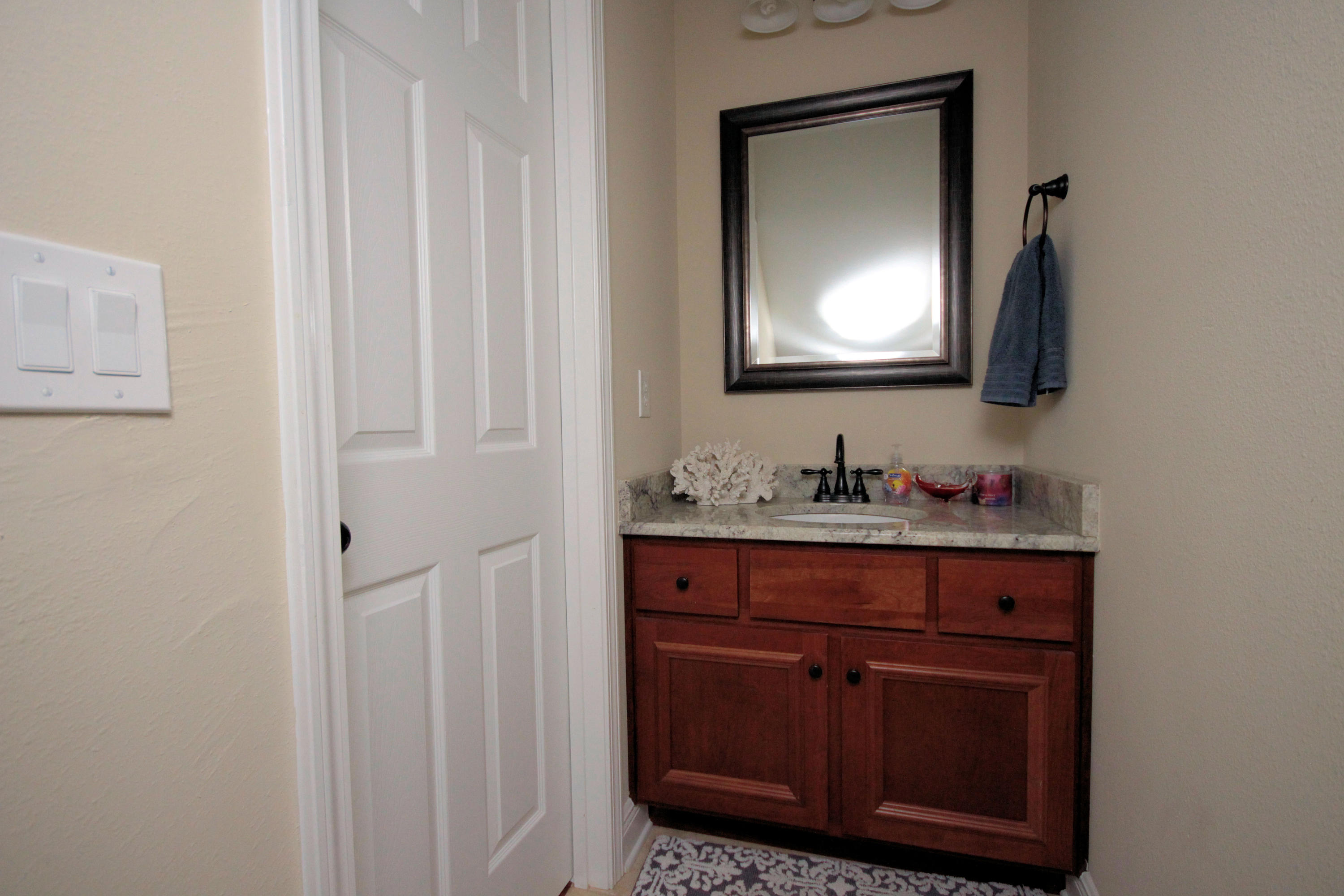 PALMETTO LAKE PRESERVE - Residential