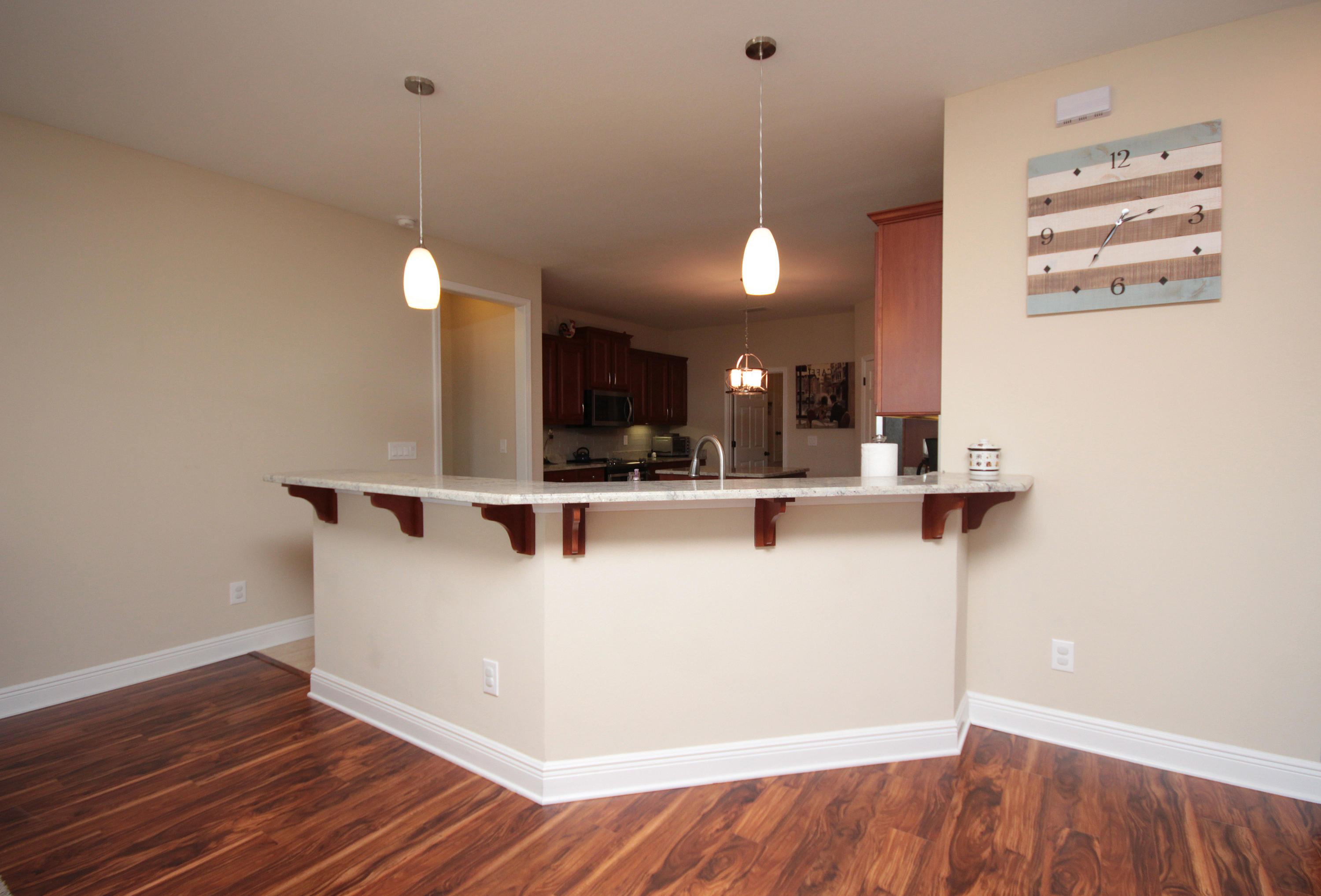 PALMETTO LAKE PRESERVE - Residential