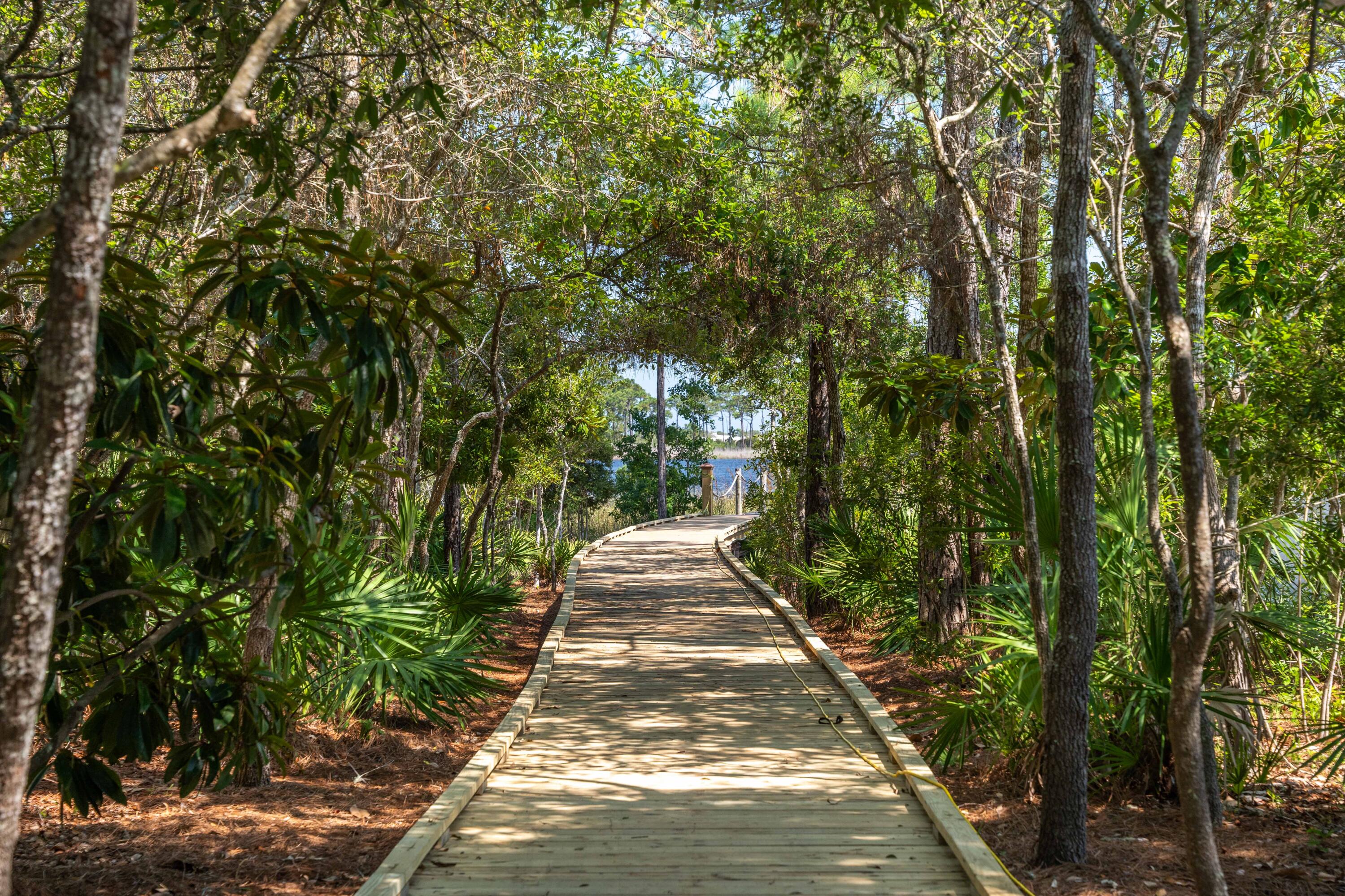 LAKE PLACE AT GRAYTON BEACH - Residential