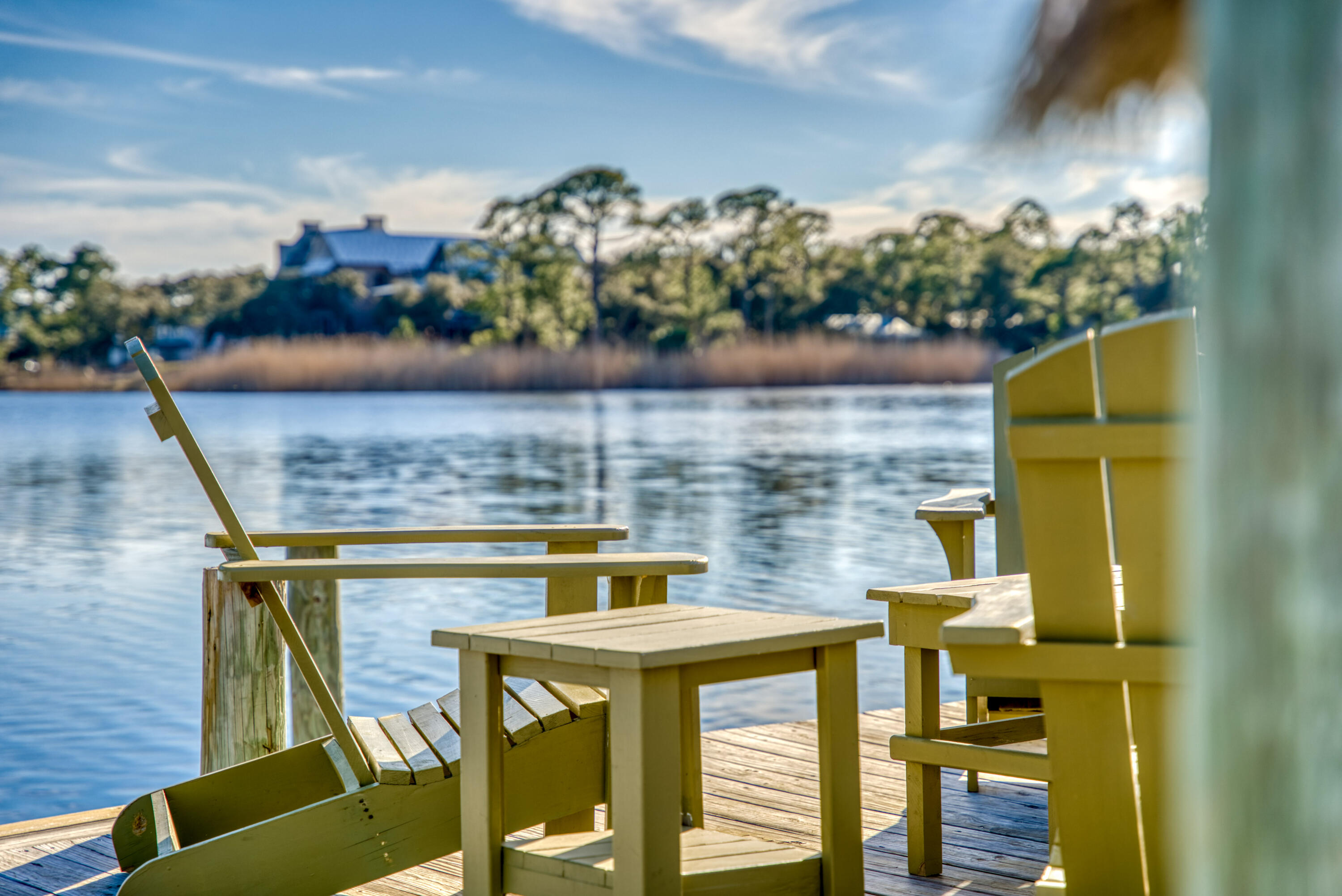 LAKE PLACE AT GRAYTON BEACH - Residential