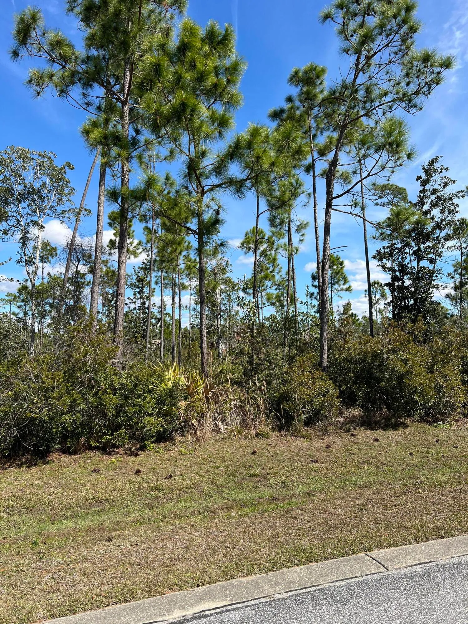 Panama City, Florida 32404, United States, ,Land,Active,166785