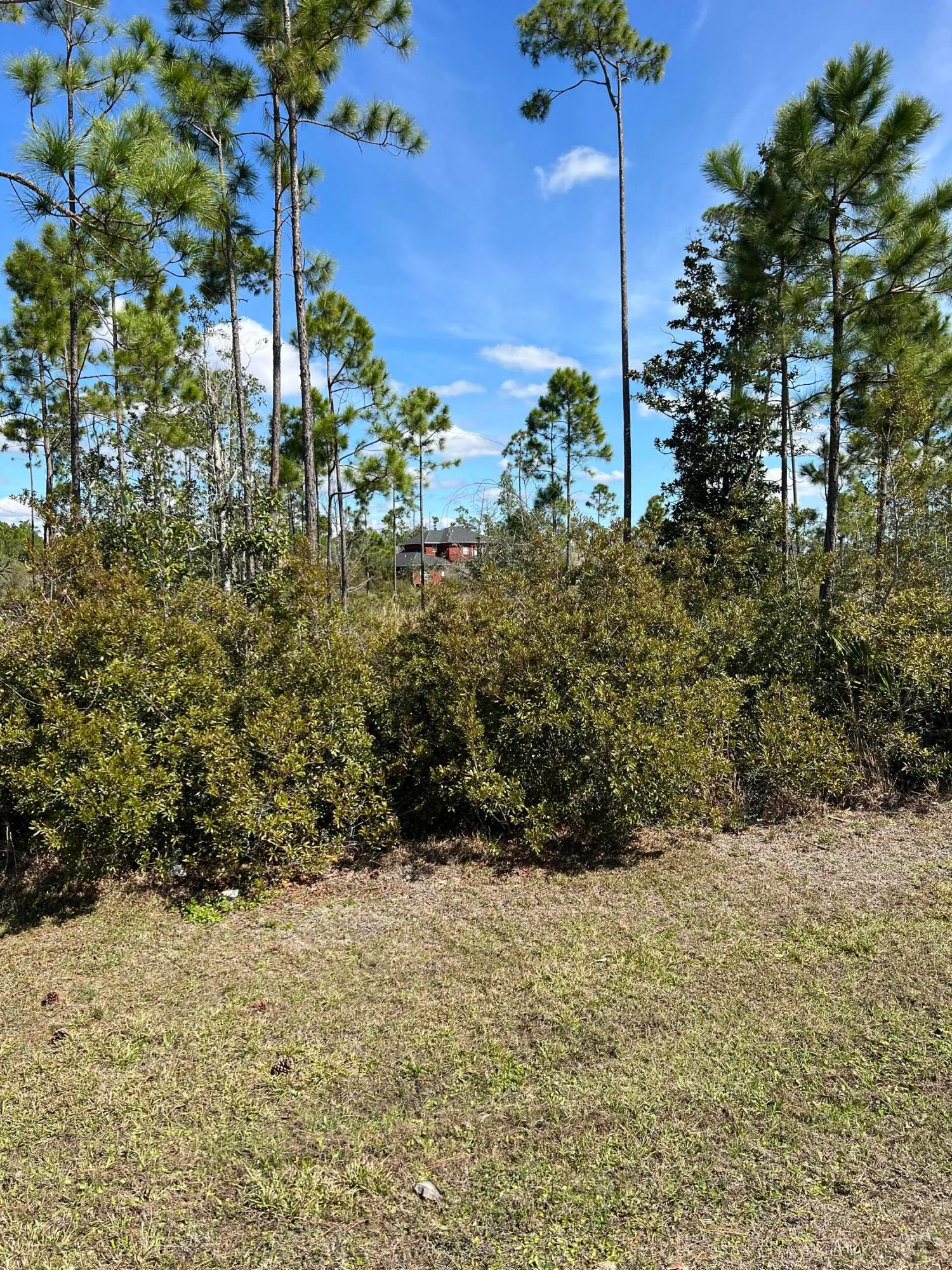 Panama City, Florida 32404, United States, ,Land,Active,166785