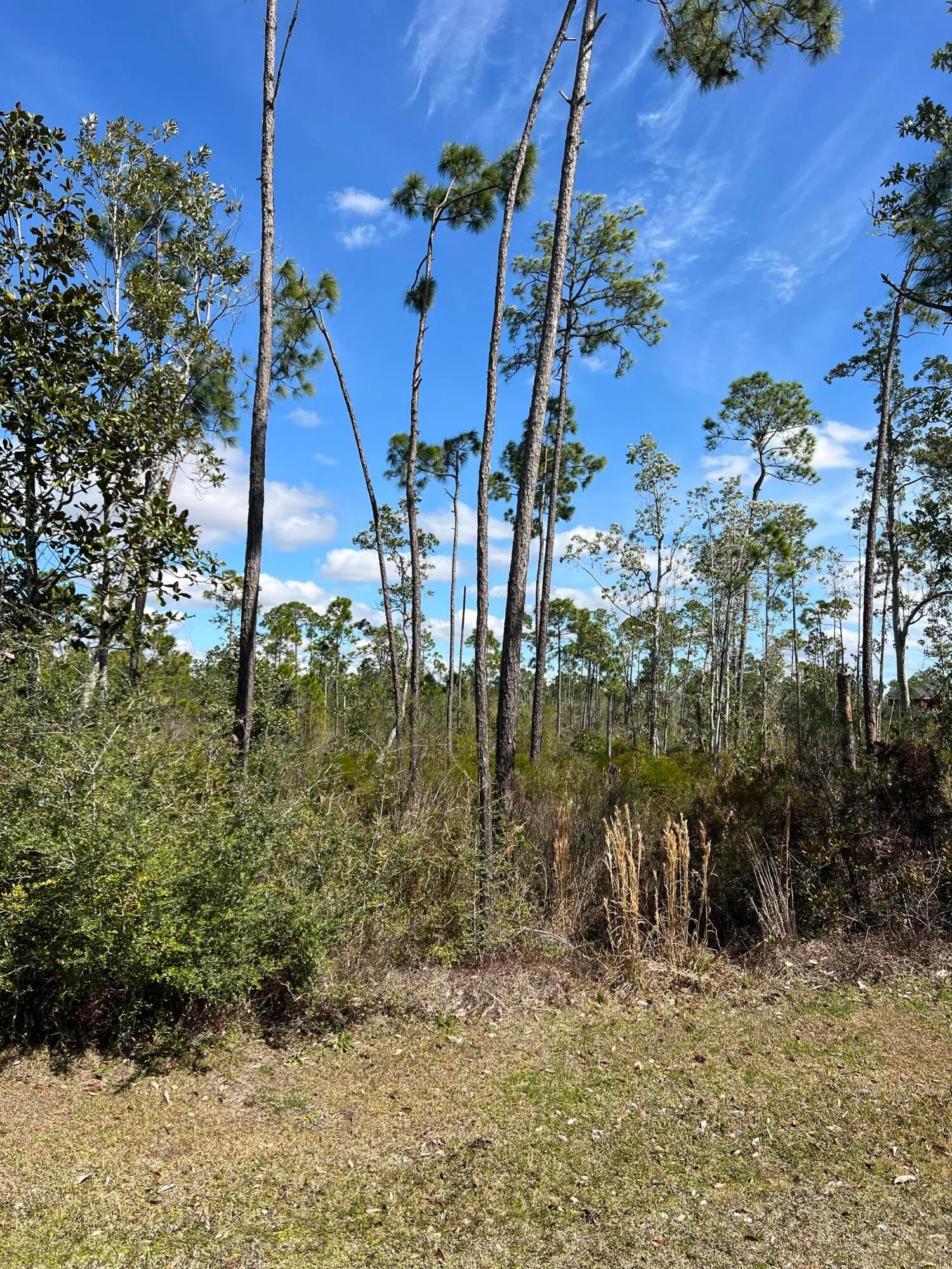 Panama City, Florida 32404, United States, ,Land,Active,166785