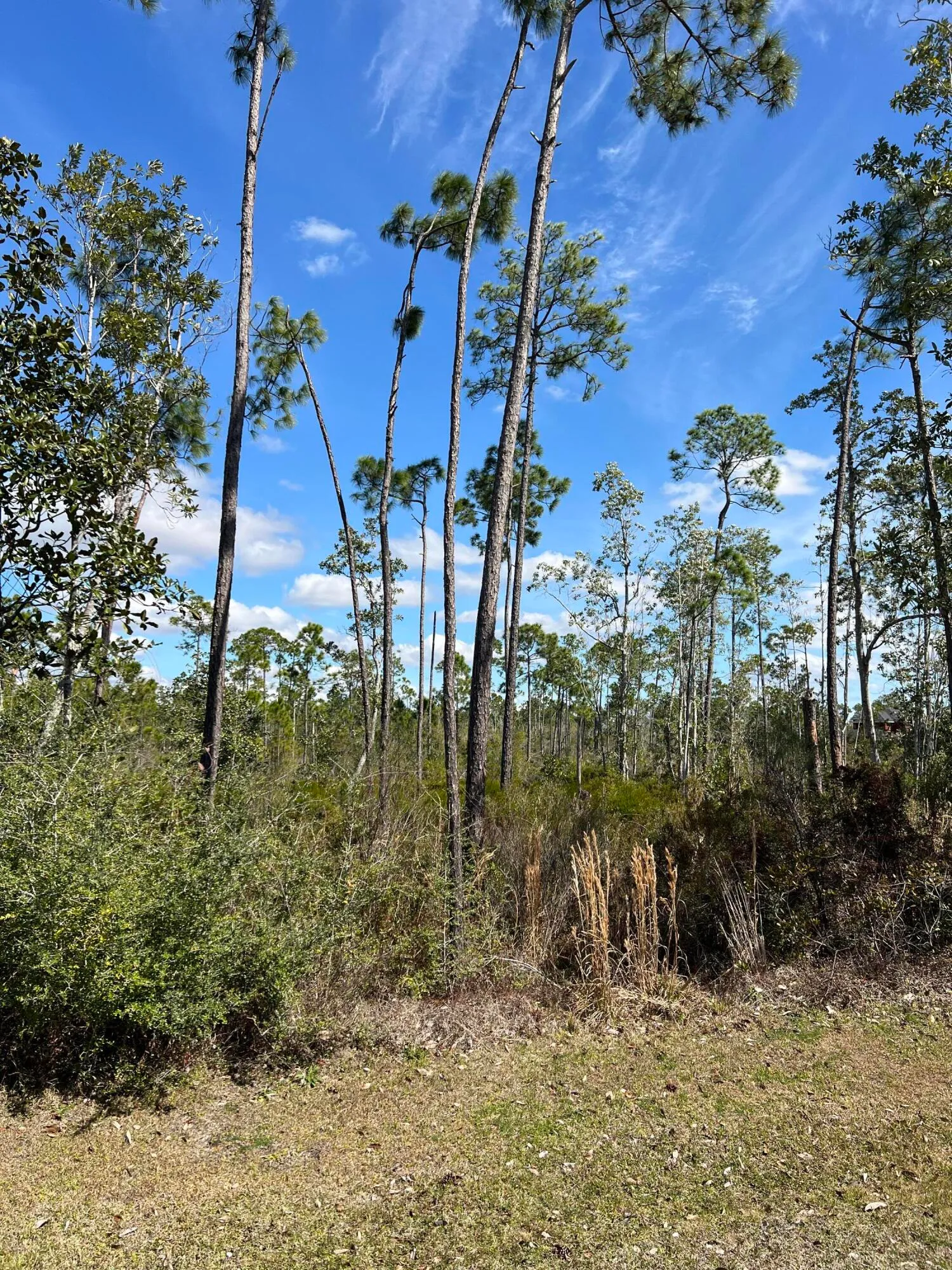 Panama City, Florida 32404, United States, ,Land,Active,166785