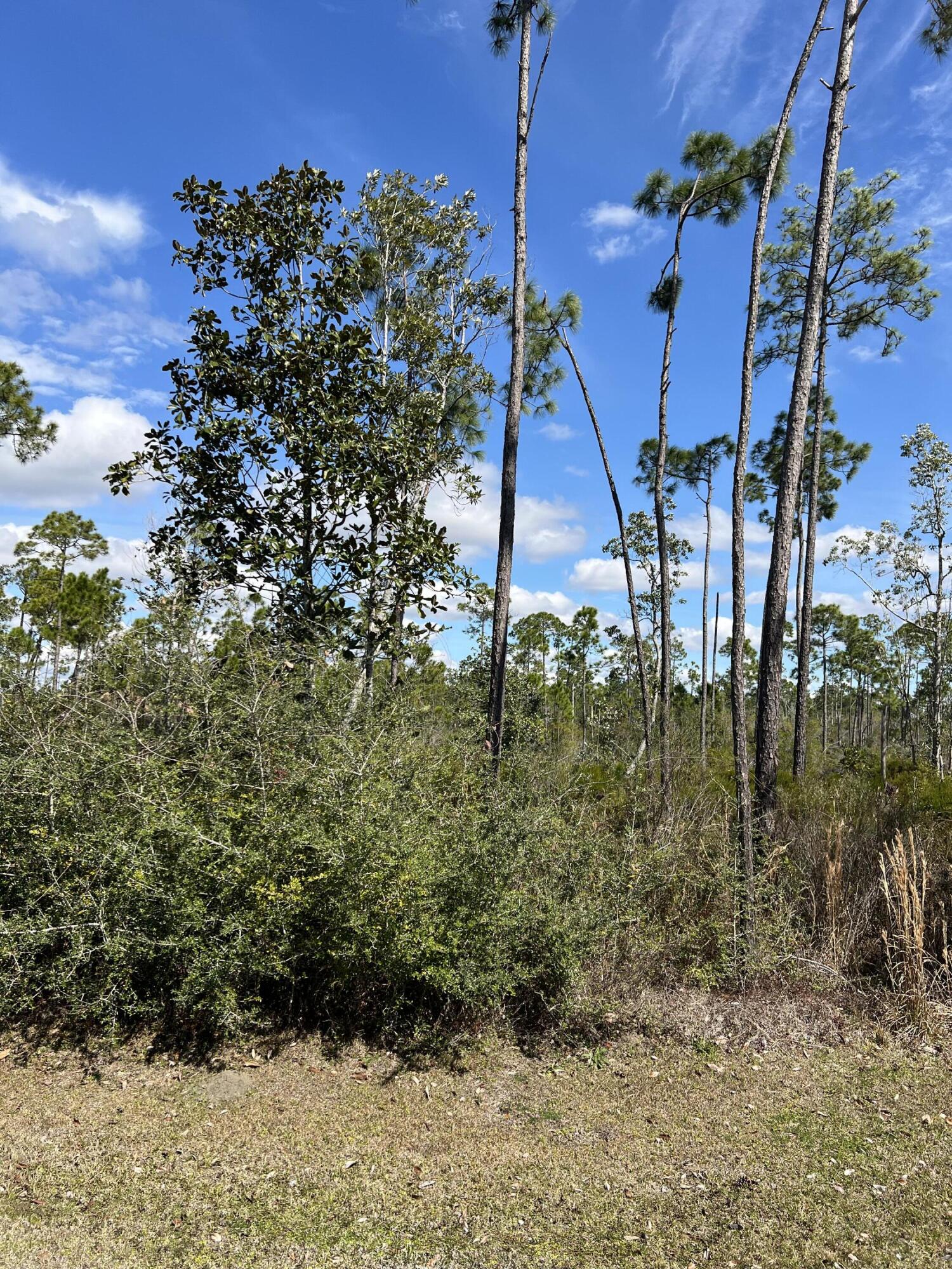 Large lot located in the gated community of Laird Bayou. This is the perfect spot to build your dream home. Amenities include a private boat launch and a community club house with swimming pool.