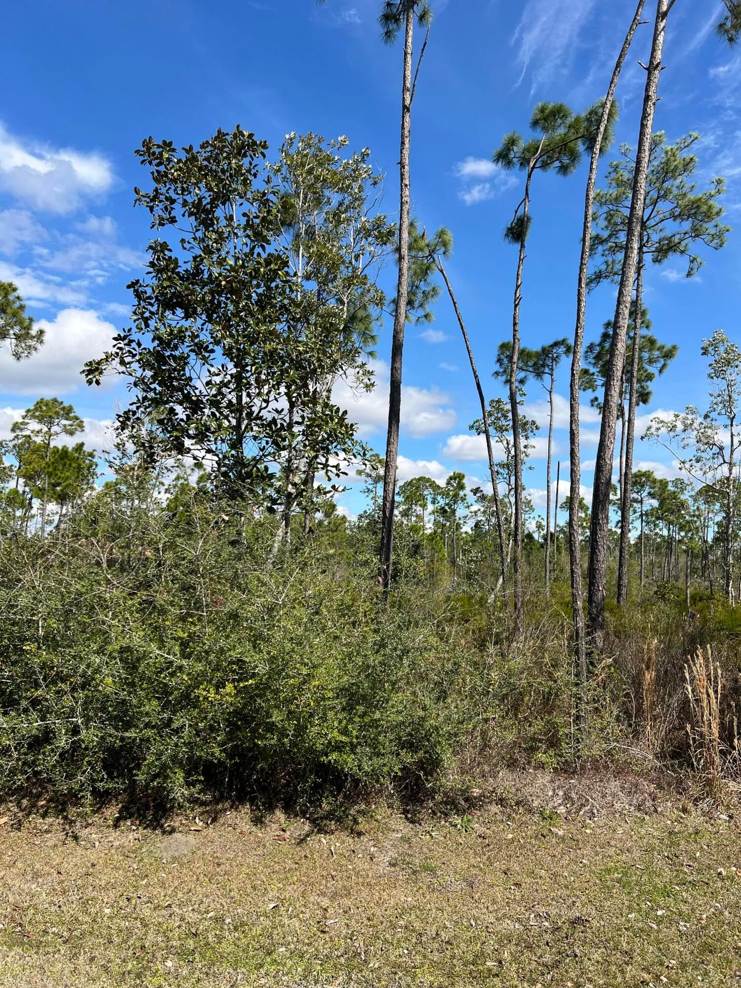 Panama City, Florida 32404, United States, ,Land,Active,166785