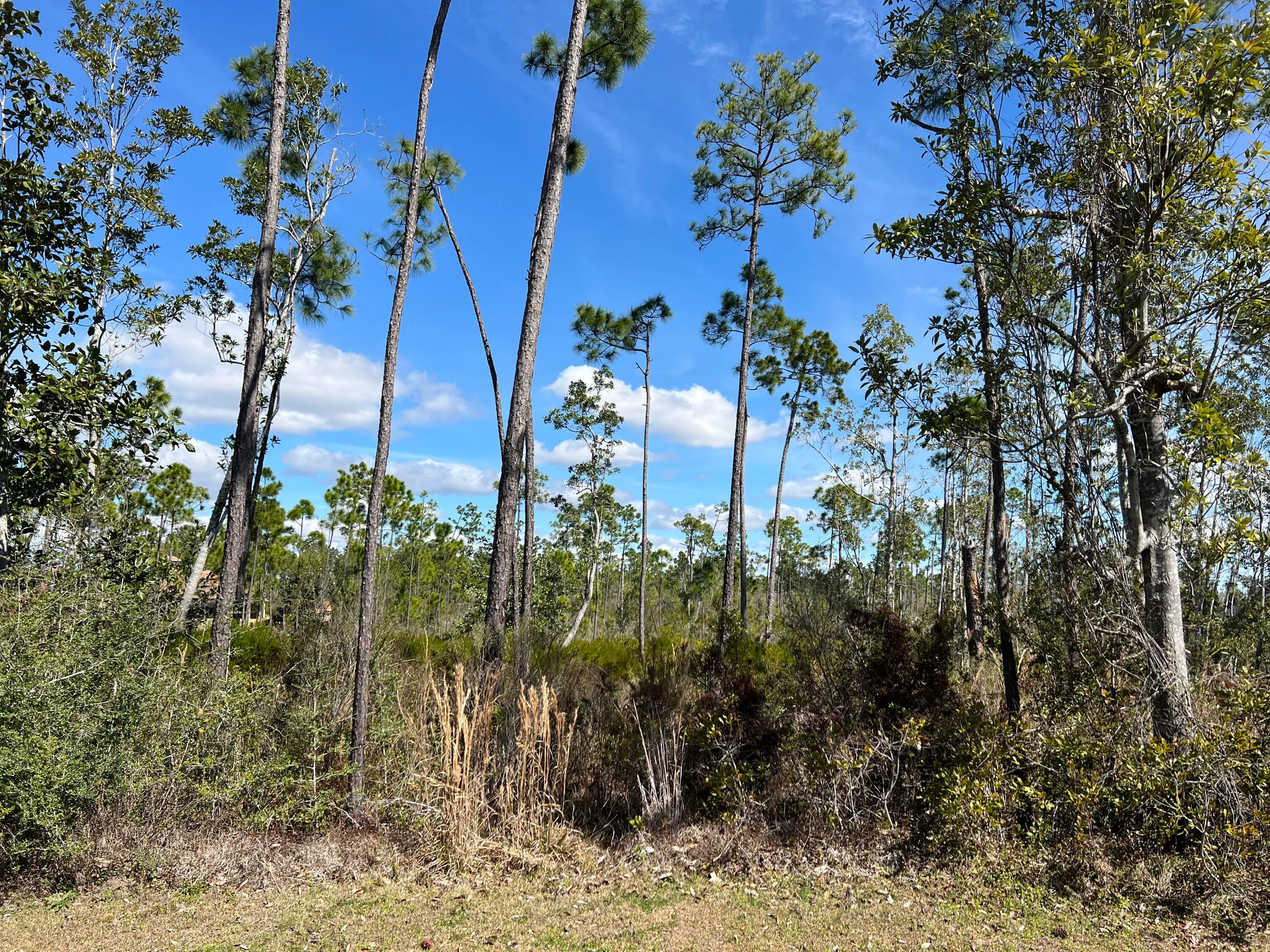 Panama City, Florida 32404, United States, ,Land,Active,166785