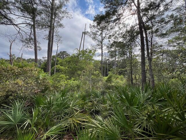 FOREST LAKES PH I - Land