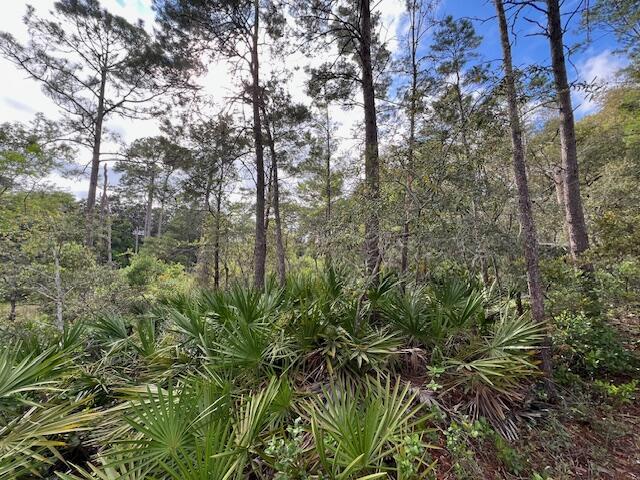 FOREST LAKES PH I - Land