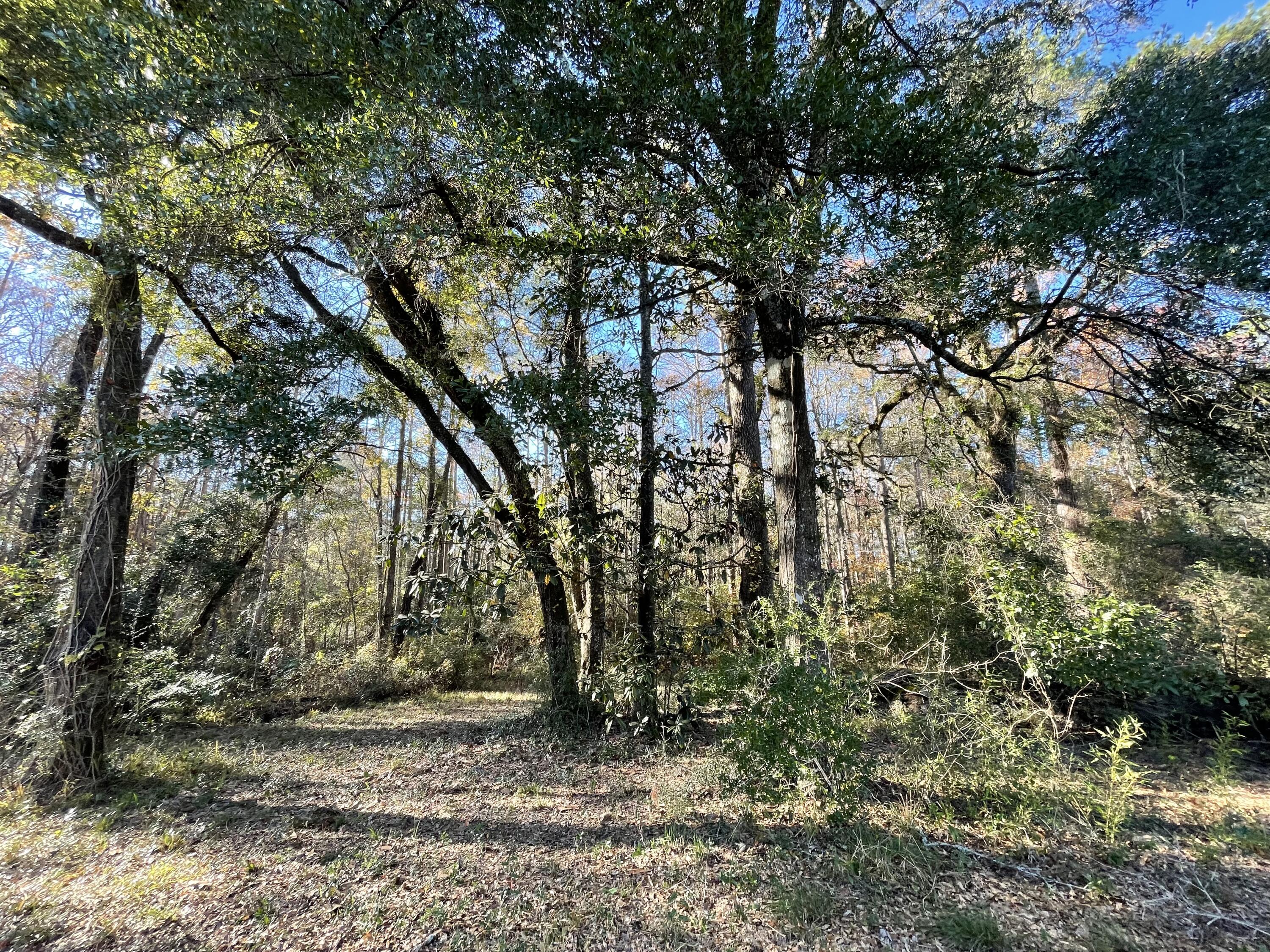 NO RECORDED PROJECT - Land