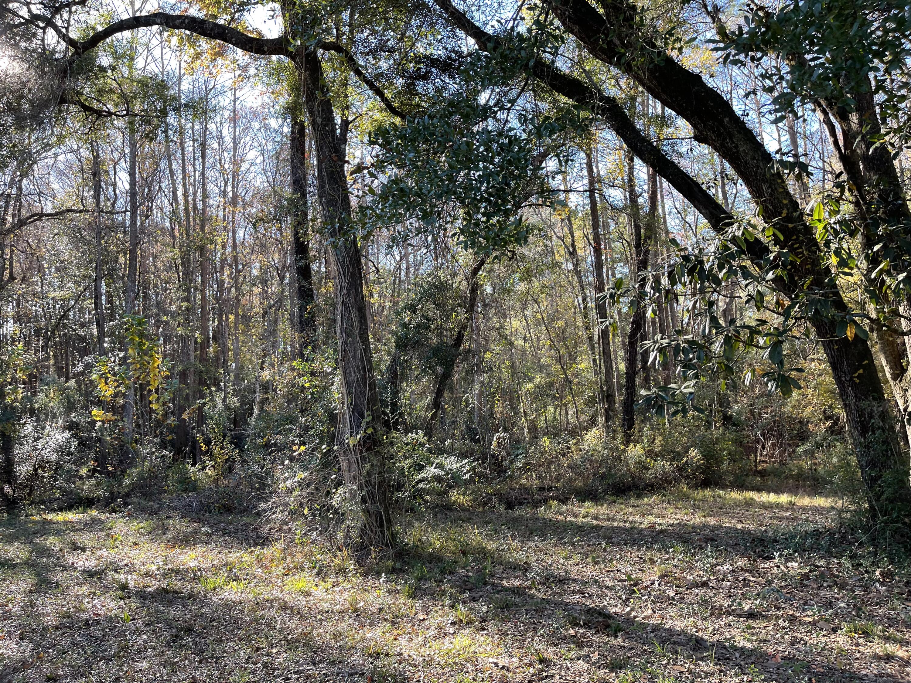 NO RECORDED PROJECT - Land