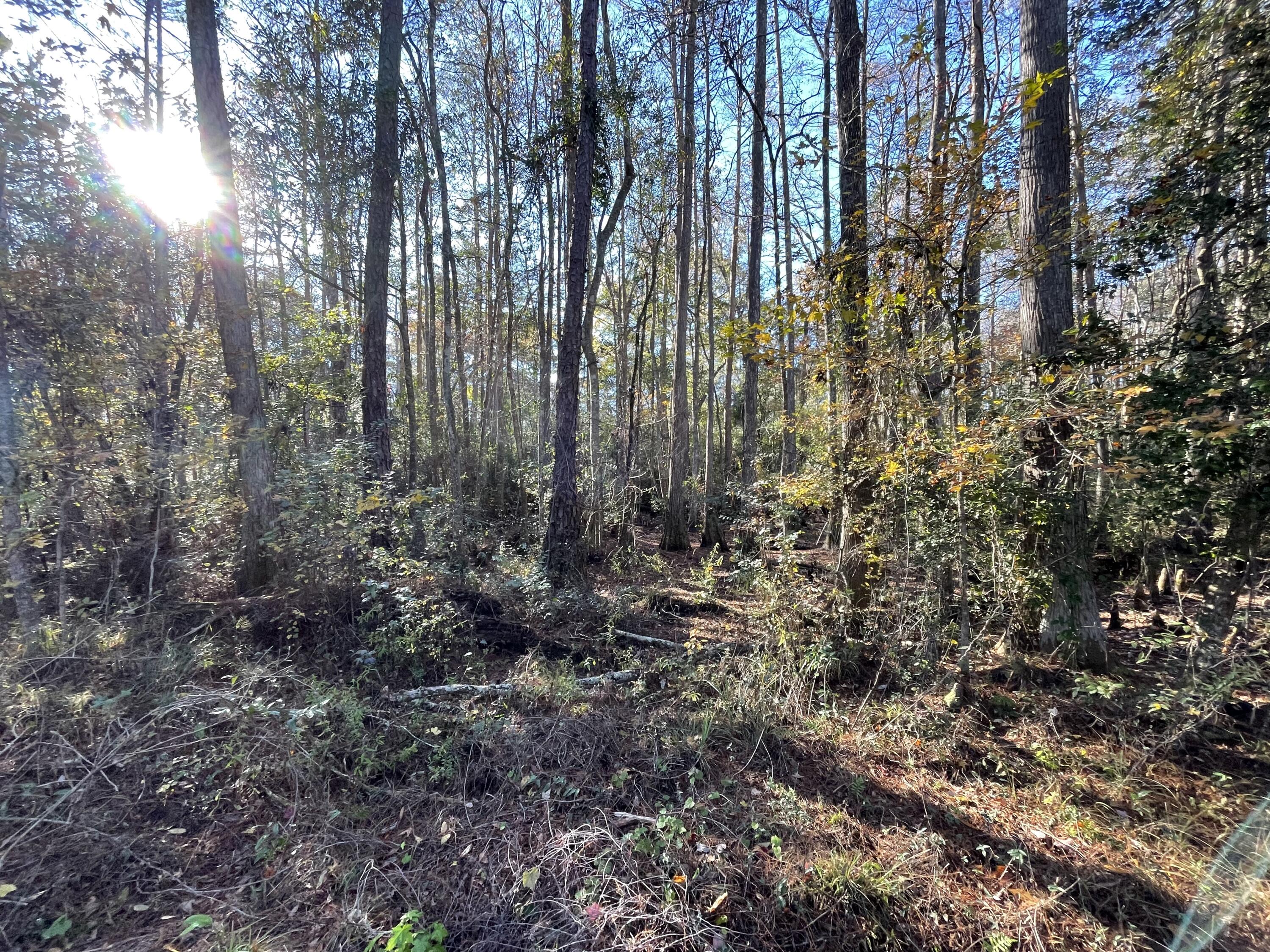NO RECORDED PROJECT - Land