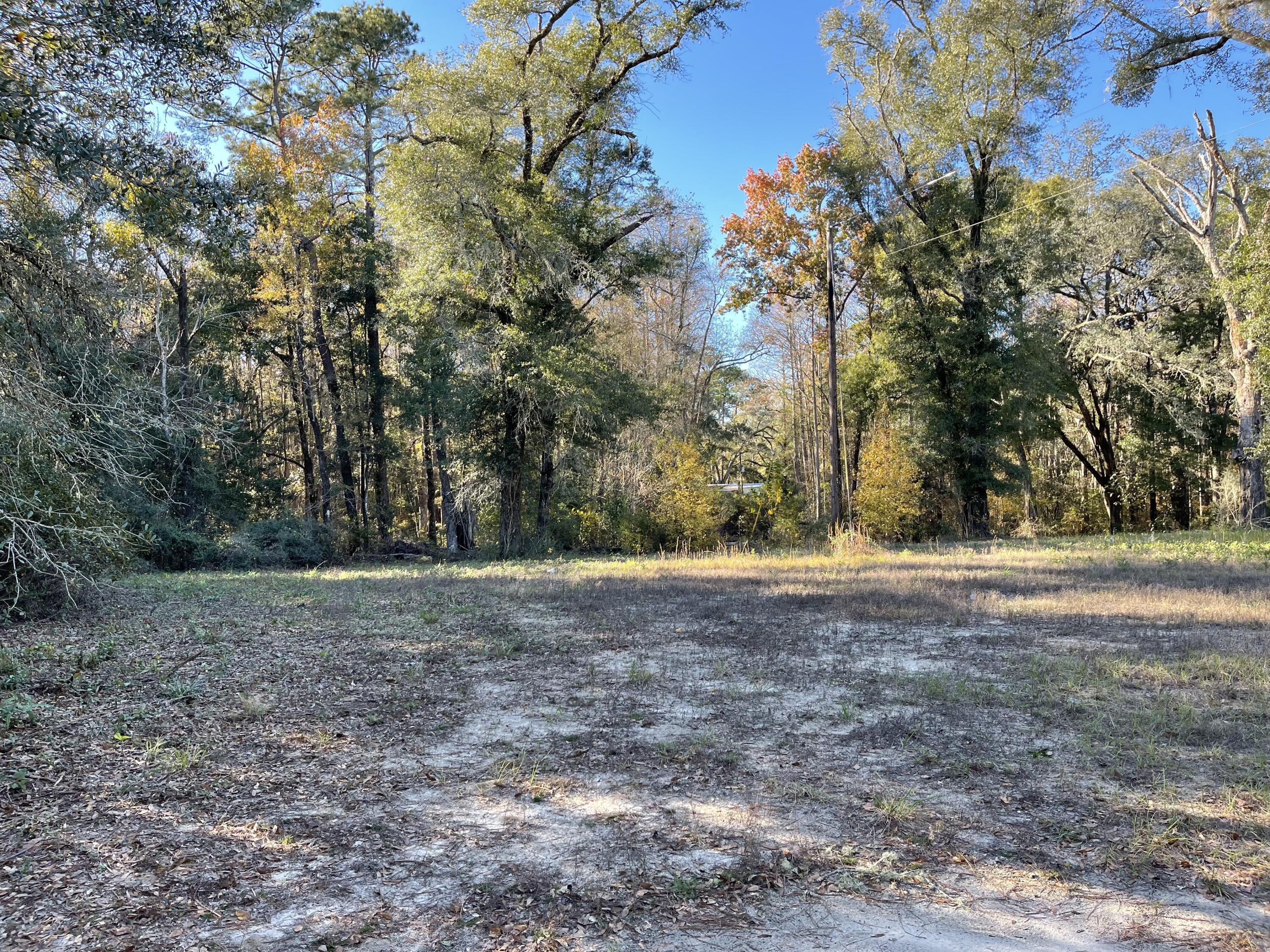 1.07 acres in the town of Westville. City water is on the site, and there may be an older septic tank since there was a manufactured home on the property as recently as 2016. It sits on a stream/swamp from Buckhead Slough. Lots of oaks & magnolias. There is also a concrete pad on the property. Recent survey as well. Perfect for a land home package or site built home. Seller is a Florida licensed Broker.