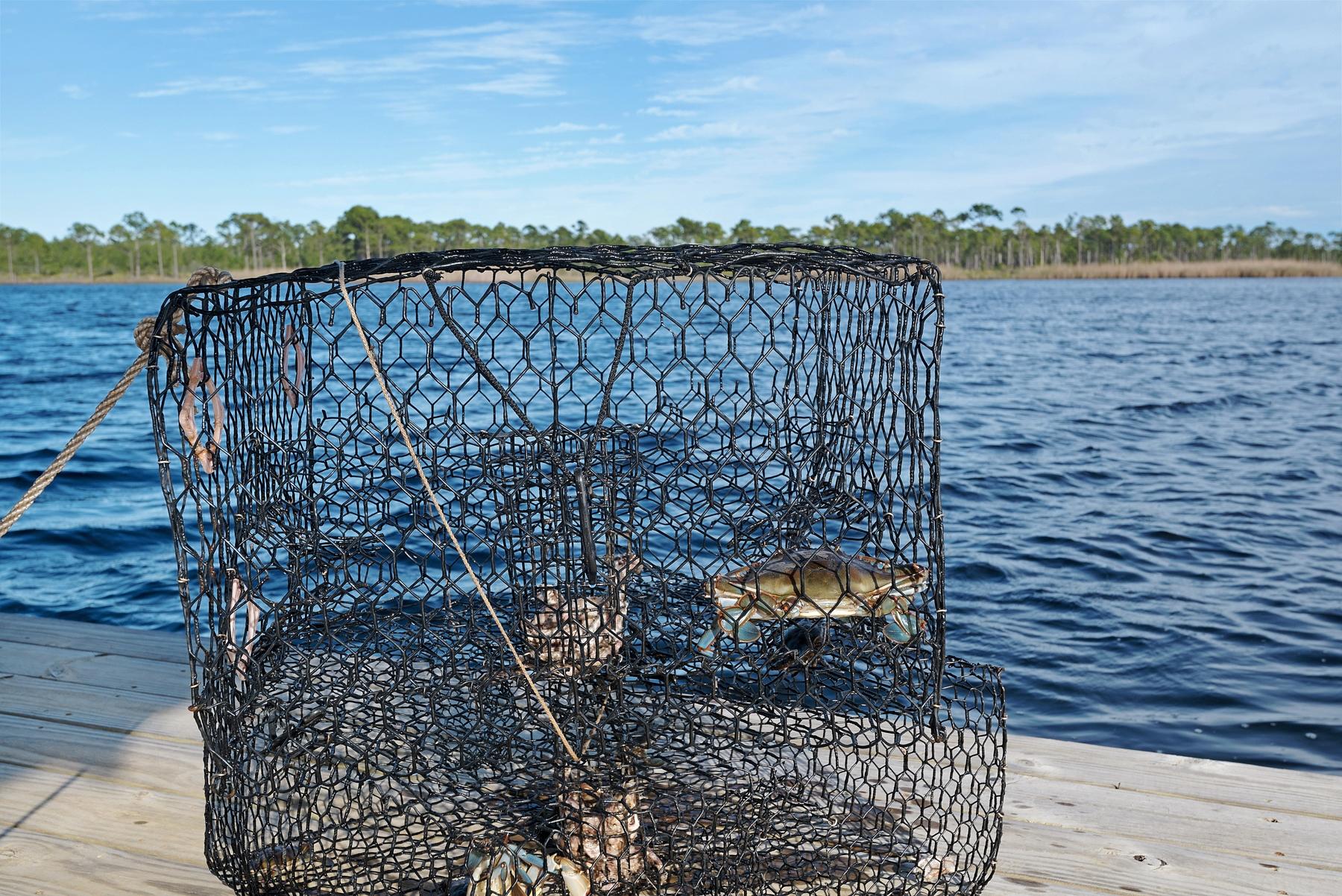 Grayton Beach - Residential