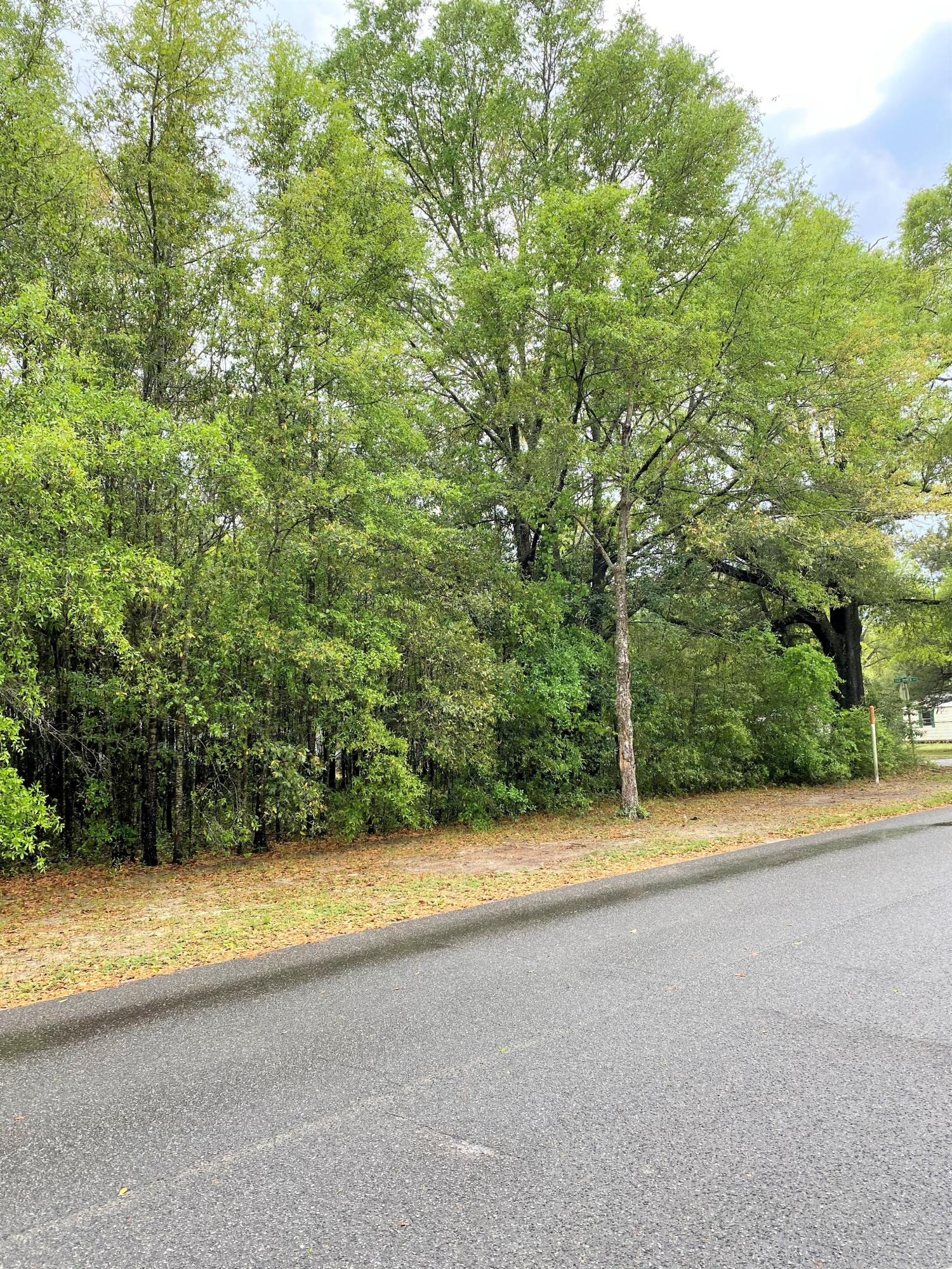 2 really nice building lots near West DeFuniak School. Lots are level and 150x100' together. City water and sewer available. No mobile homes allowed in the city. Tap fees due.