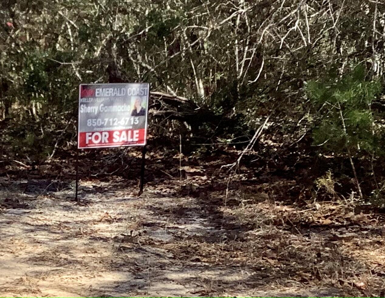Looking For The Perfect Homesite To Build Your New Home In Defuniak Springs? You'll Love This Lot That's Just Off Hwy 331. Country Living At It's Best. Buyer to perform all due diligence and Verify All Items Deemed Important: Acreage, Lot Dimensions, Taxes, Etc. Lot has a slight slope. Show at will; sign on property. Courtesy call to agent.