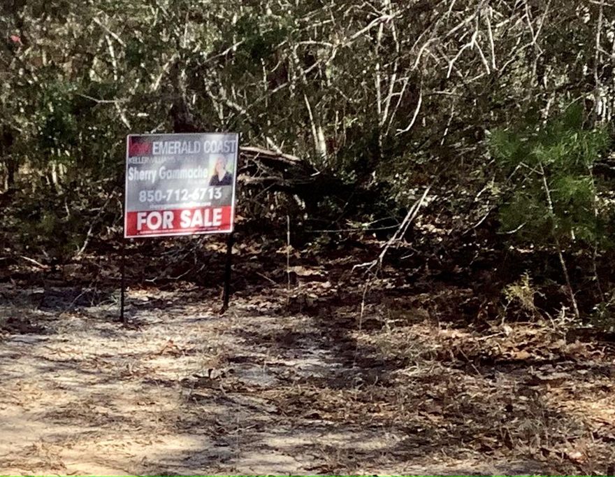 Looking For The Perfect Homesite To Build Your New Home In Defuniak Springs? You'll Love This Lot That's Just Off Hwy 331. Country Living At It's Best. Buyer to perform all due diligence and Verify All Items Deemed Important: Acreage, Lot Dimensions, Taxes, Etc. Lot has a slight slope.  Show at will; sign on property. Courtesy call to agent.