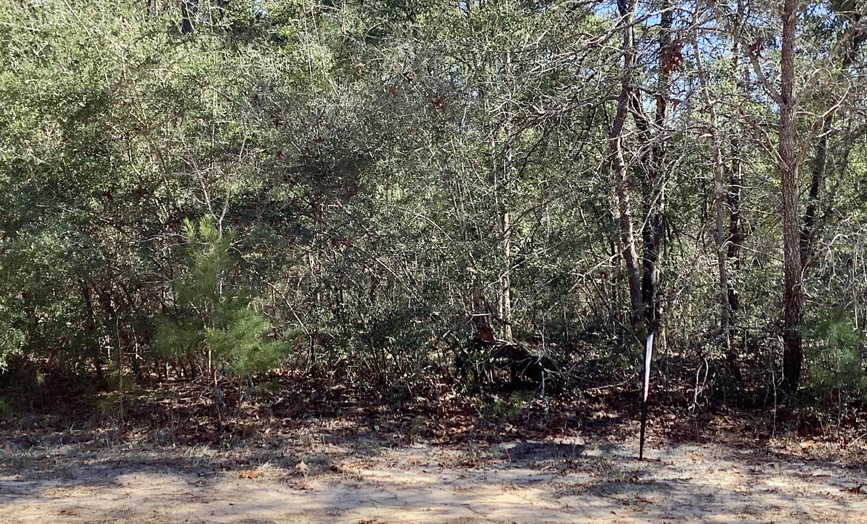 JUNIPER LAKE ESTATES - Land