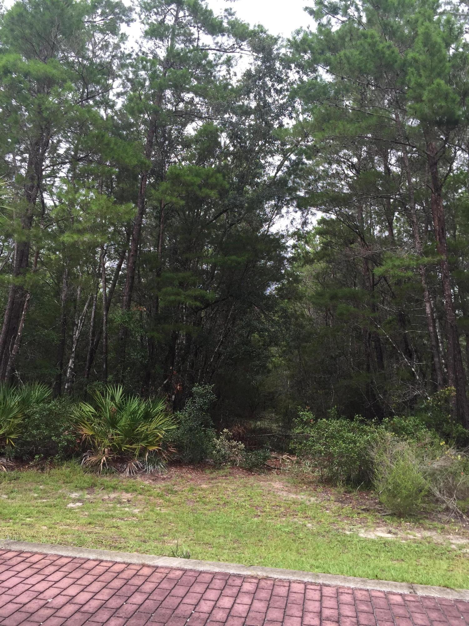 GRAYTON BAYOU - Land