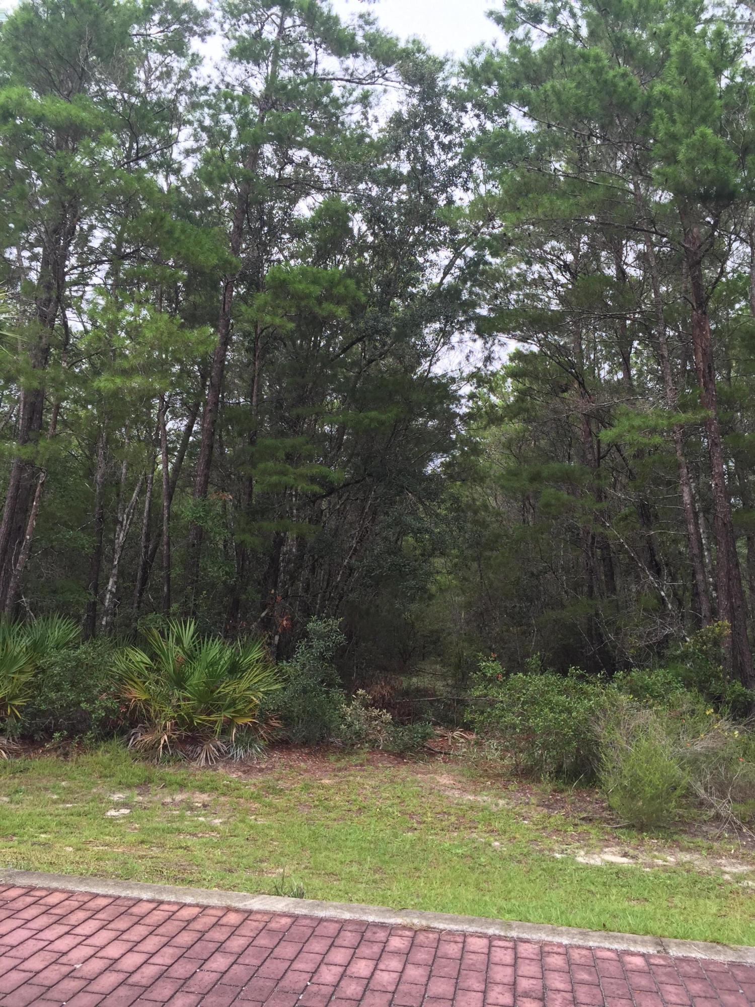 GRAYTON BAYOU - Land
