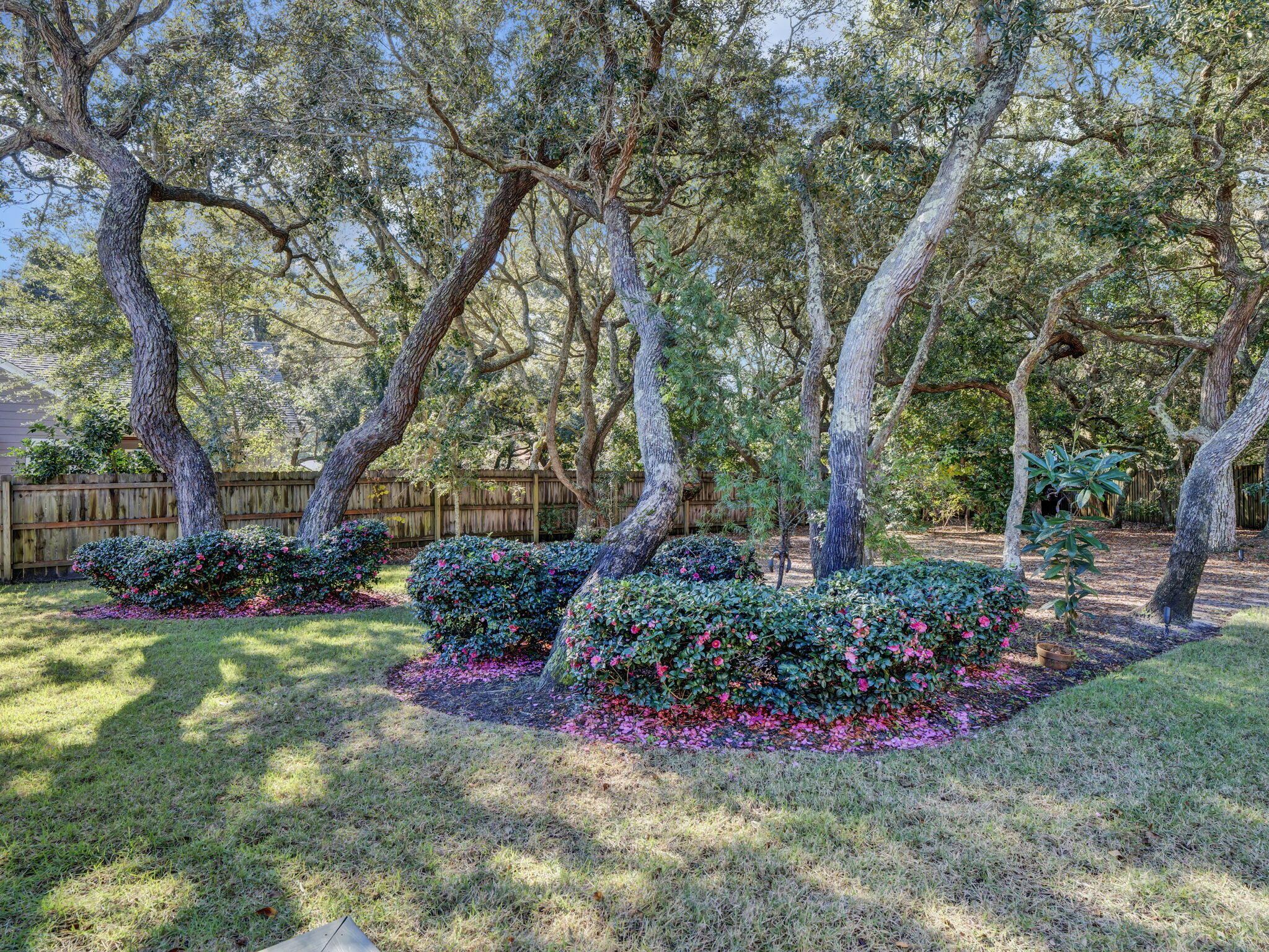 SANTA ROSA PARK - Residential