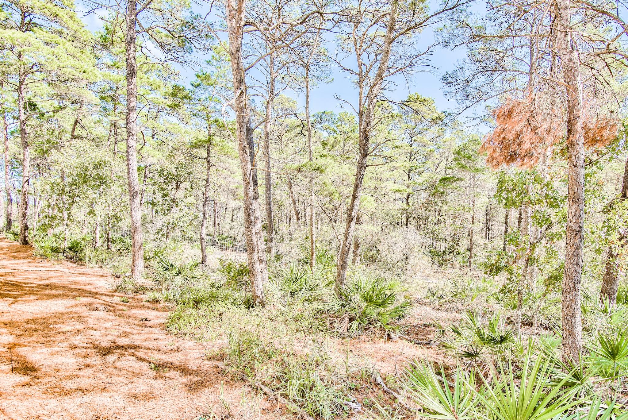 Prominence - Residential