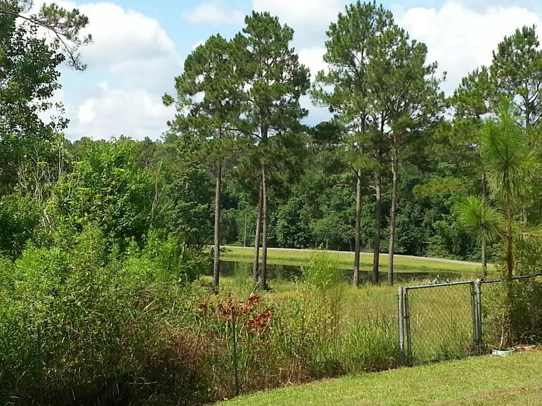 EDNEYS WEST HILL - Residential