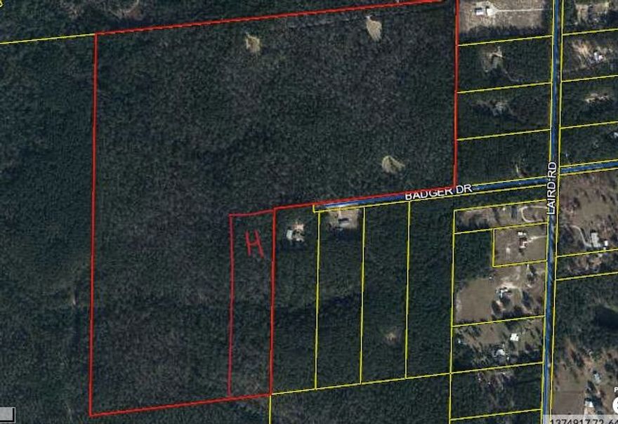 10+/- Ac of Wooded land on Badger Drive, Perfect lot to Build your new home!!! 
You don't want to miss this opportunity.

County Zoning is rural village. Future land use is rural residential.
Seller Will consider owner financing offers.
