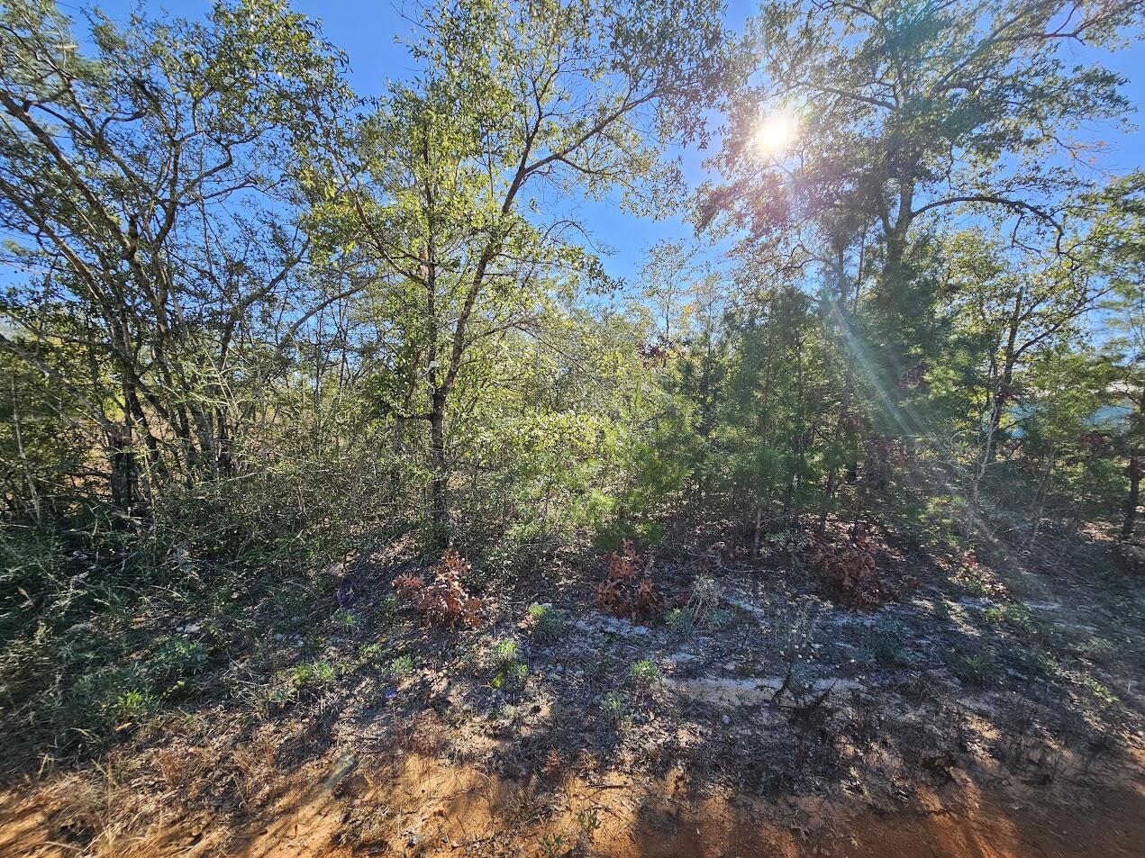 OAKWOOD HILLS UNIT 1 - Land