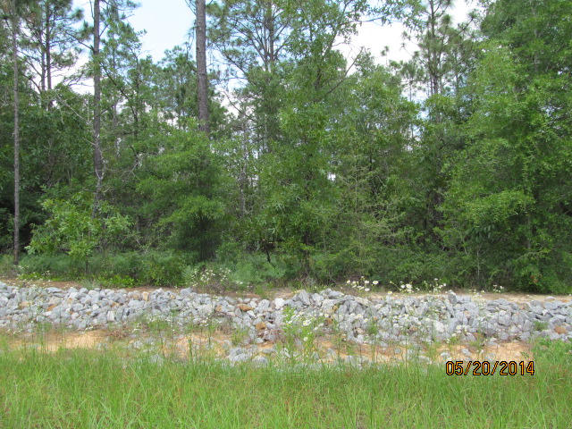 Great property on paved road! City water and electricity available at the road. This one won't last long! Call today for more information!