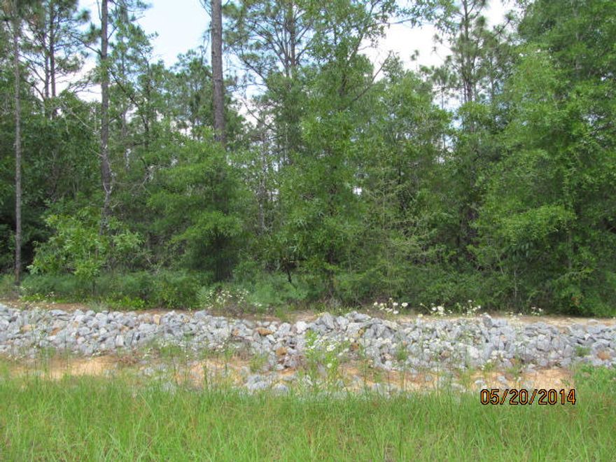 Great property on paved road! City water and electricity available at the road. This one won't last long! Call today for more information!